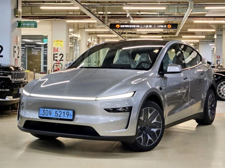 Model Y
