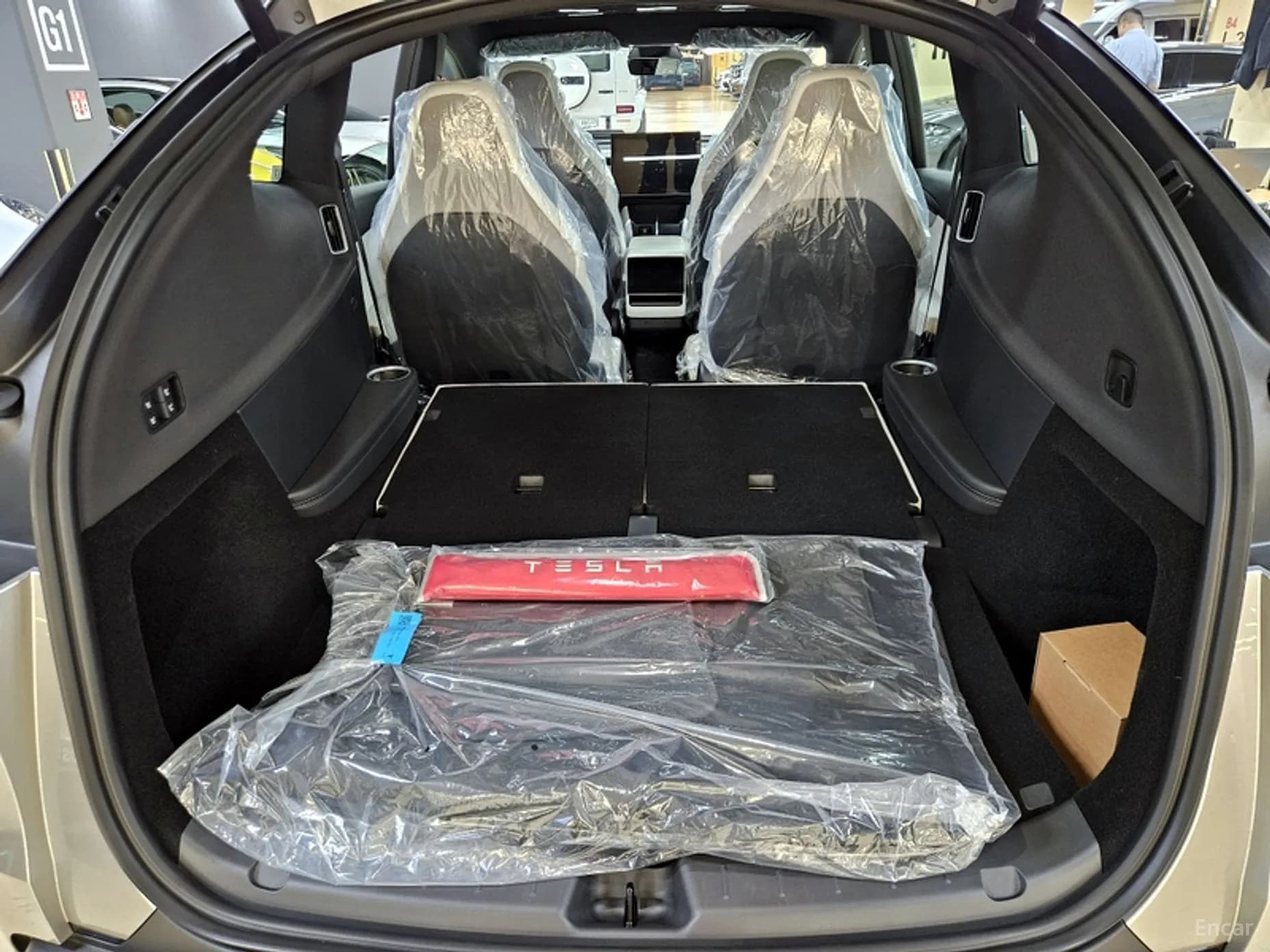 Model Y