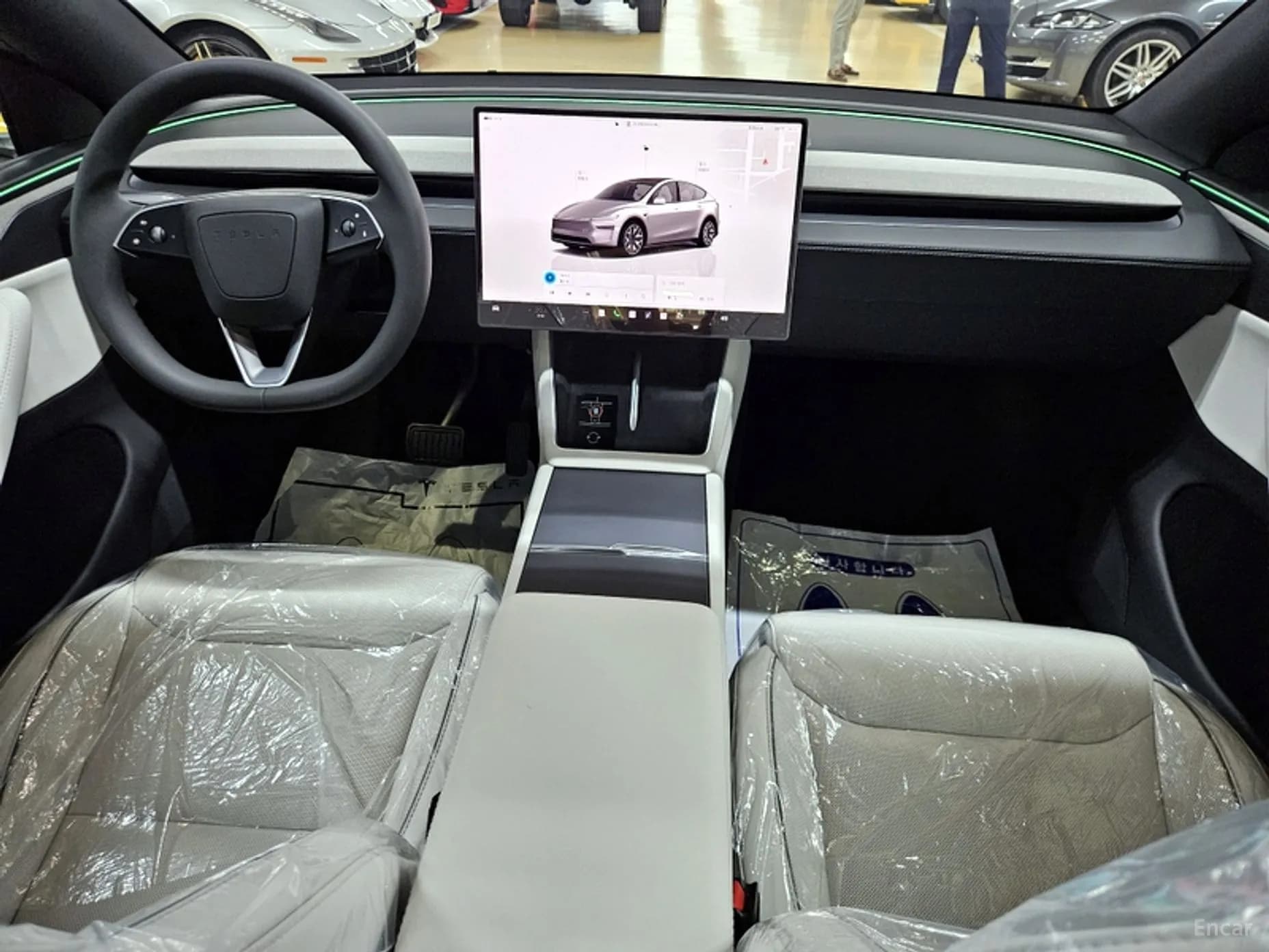 Model Y