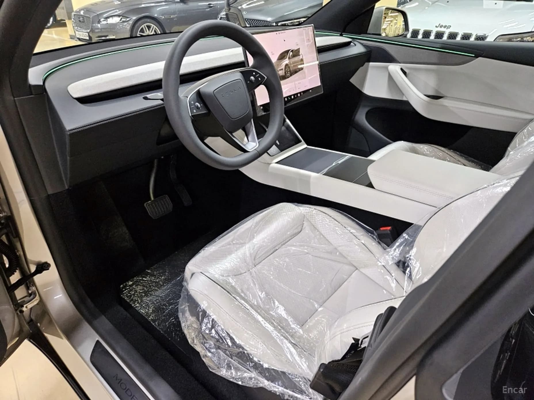 Model Y