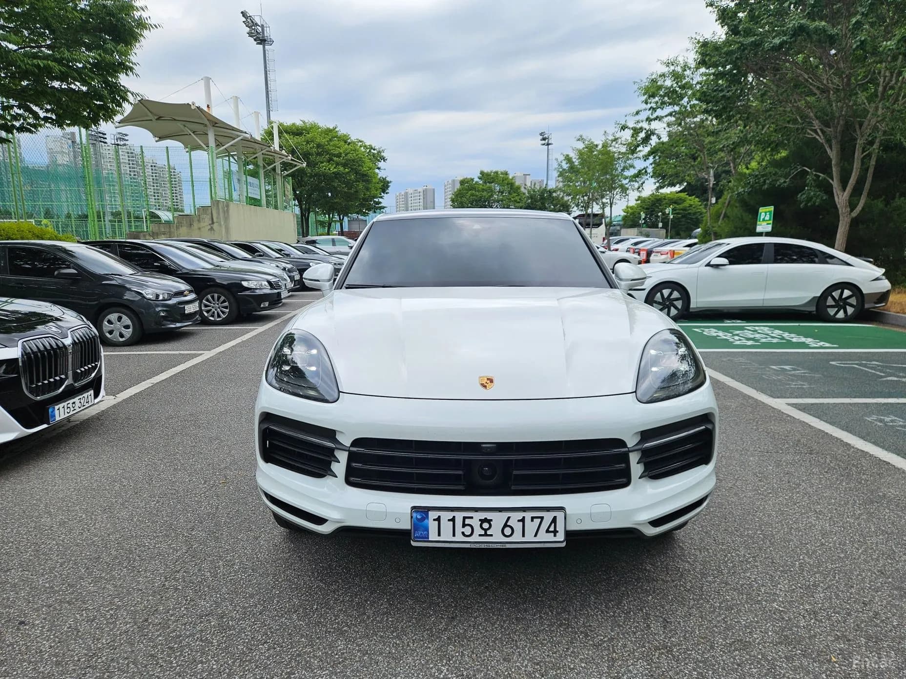 Cayenne (PO536)