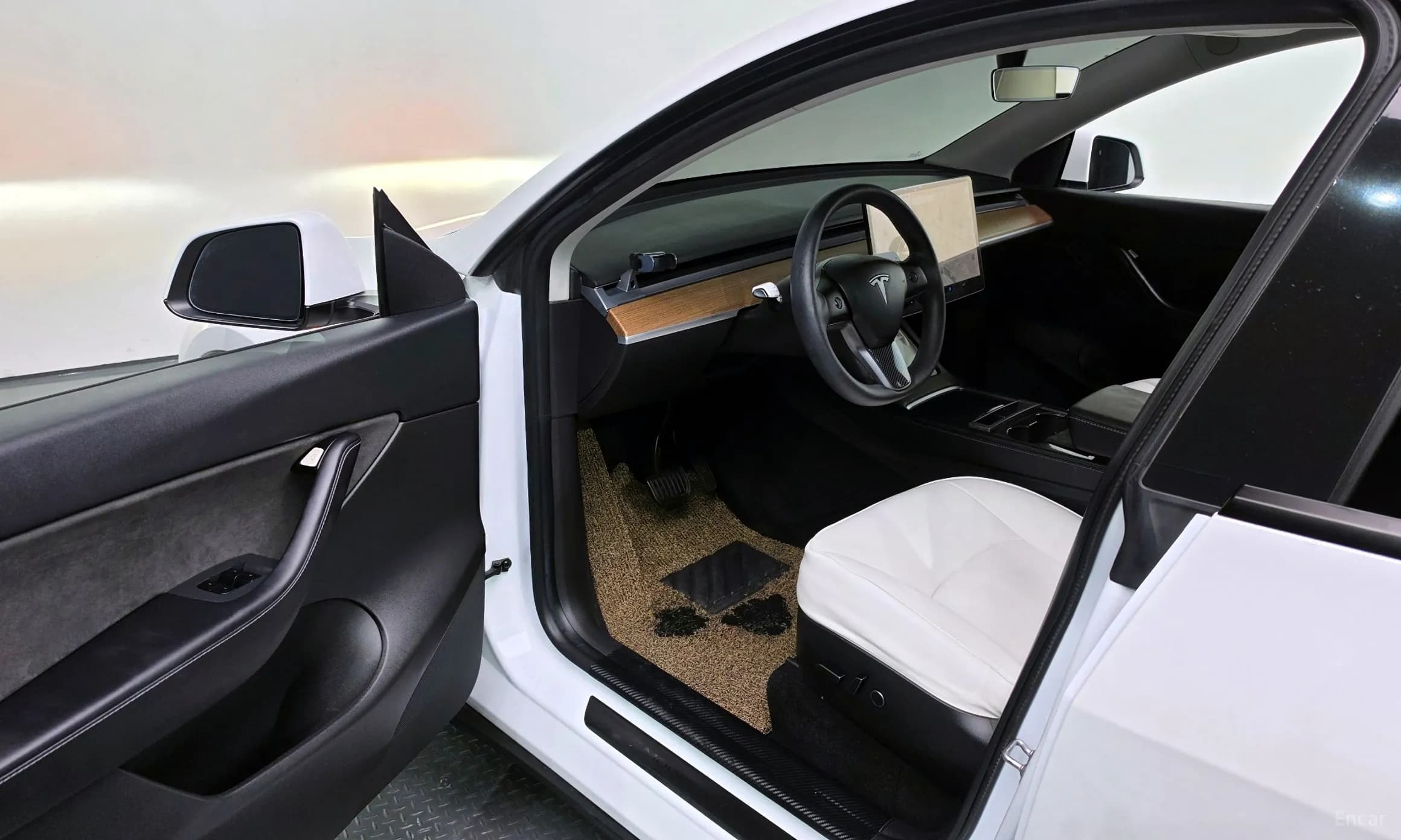 Model Y