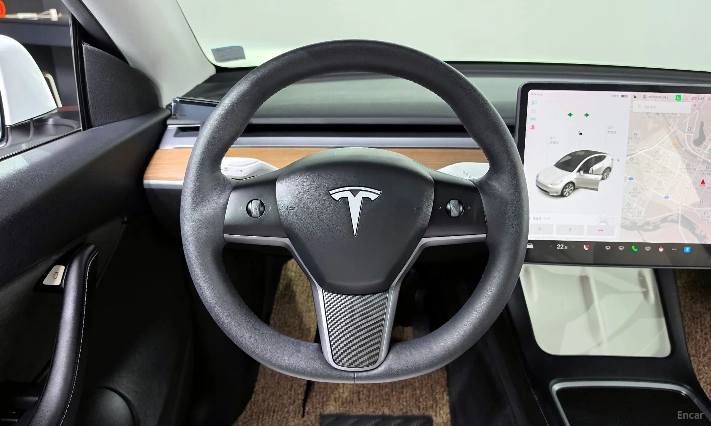 Model Y