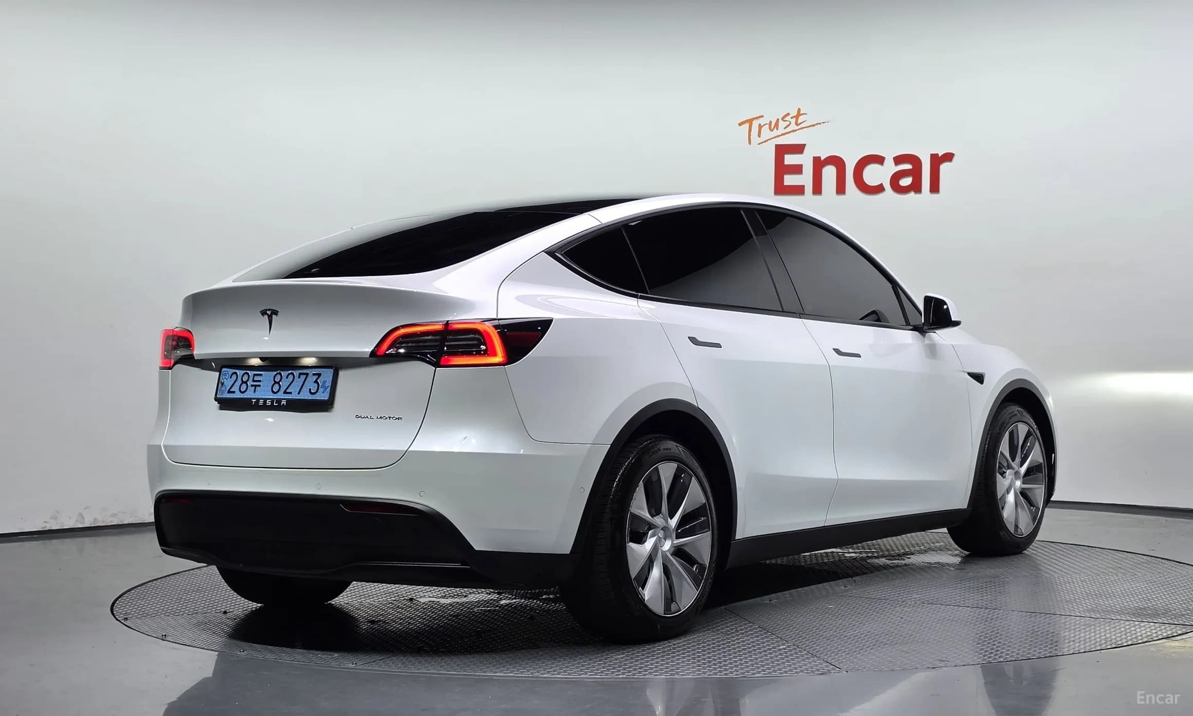 Model Y