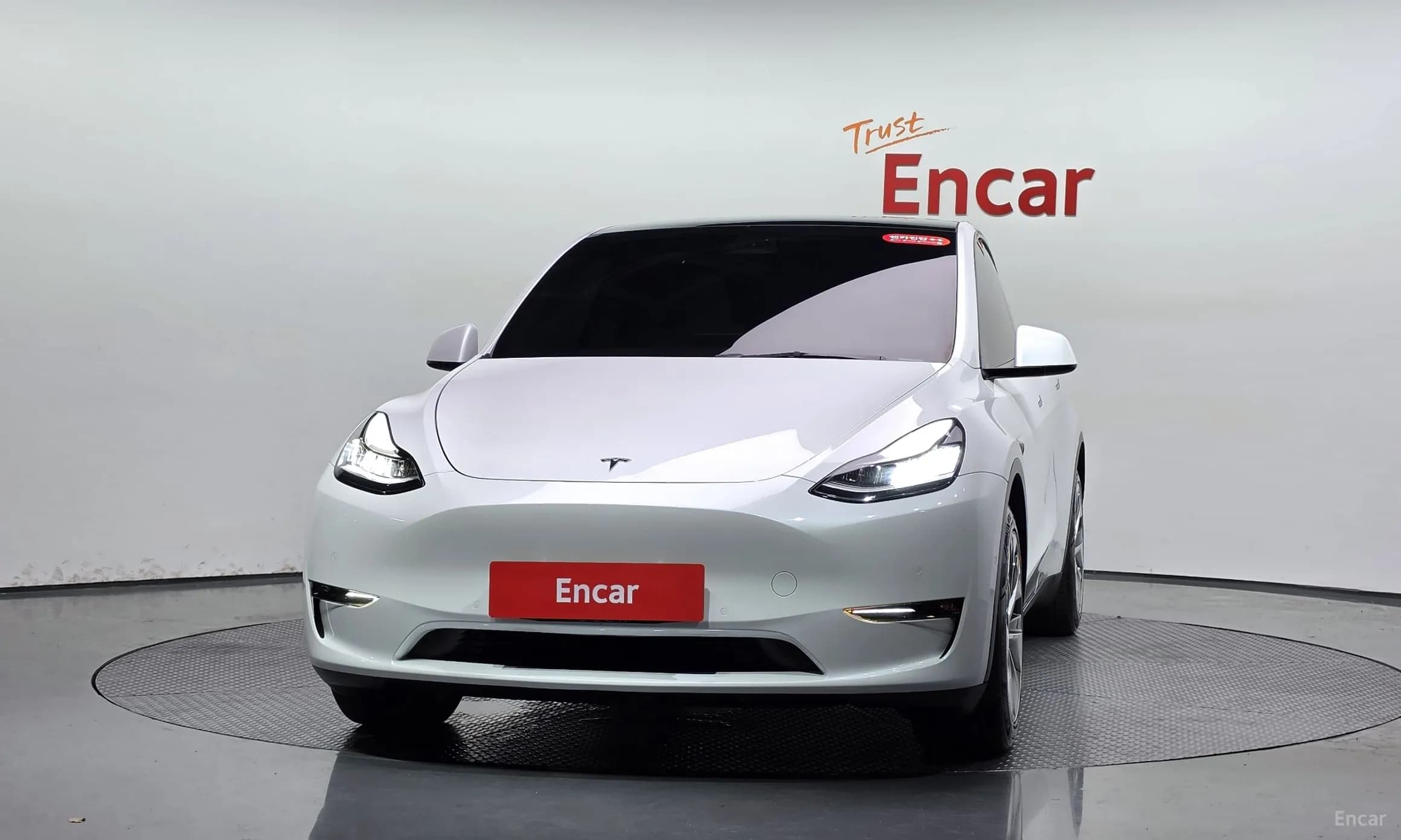 Model Y