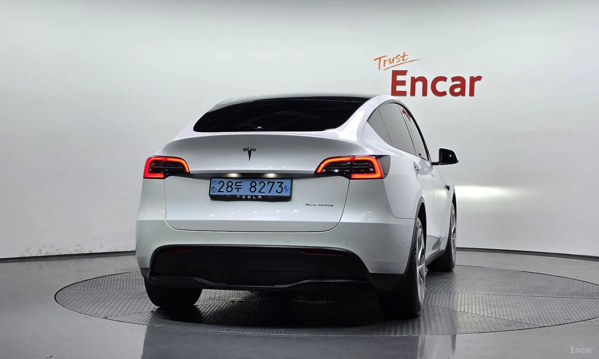 Model Y