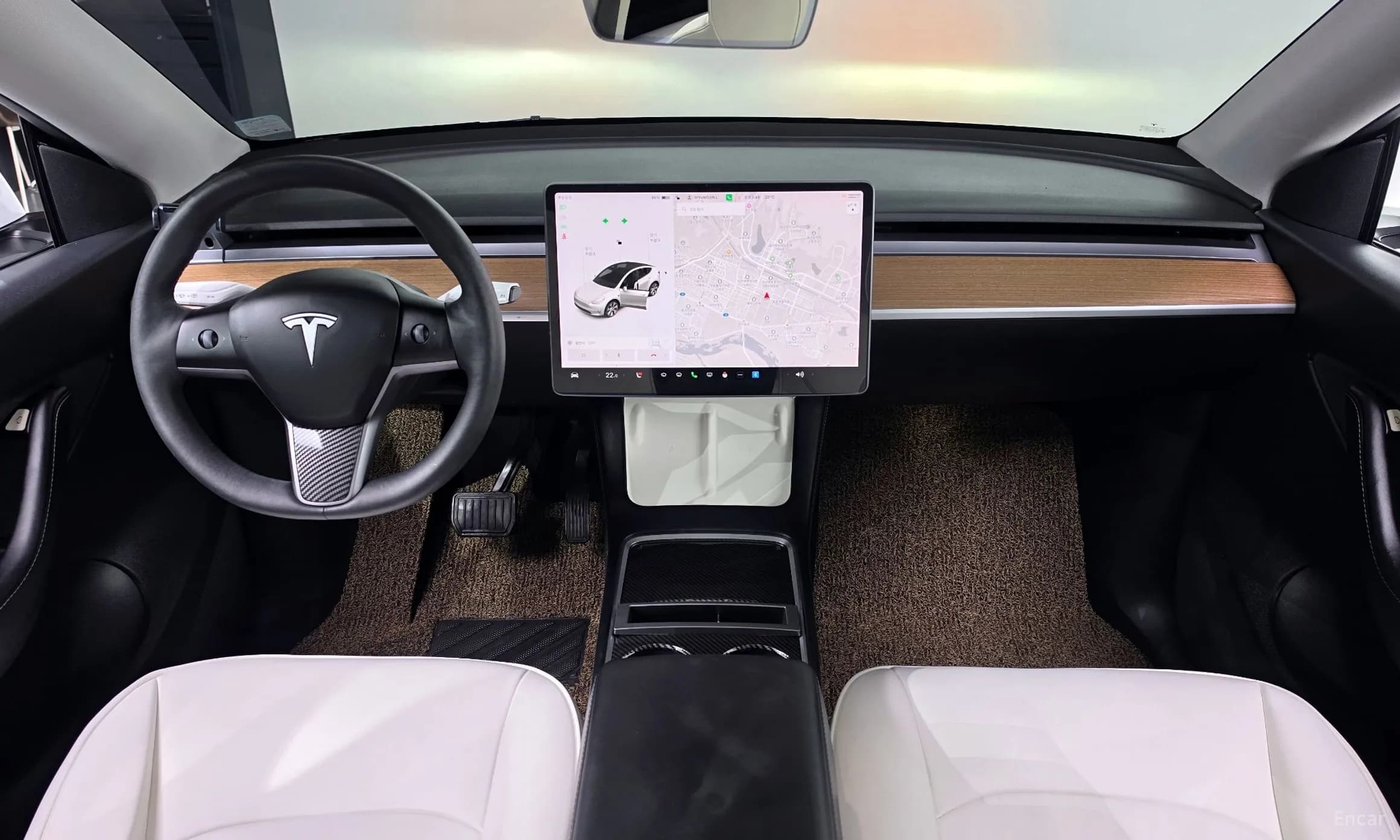 Model Y