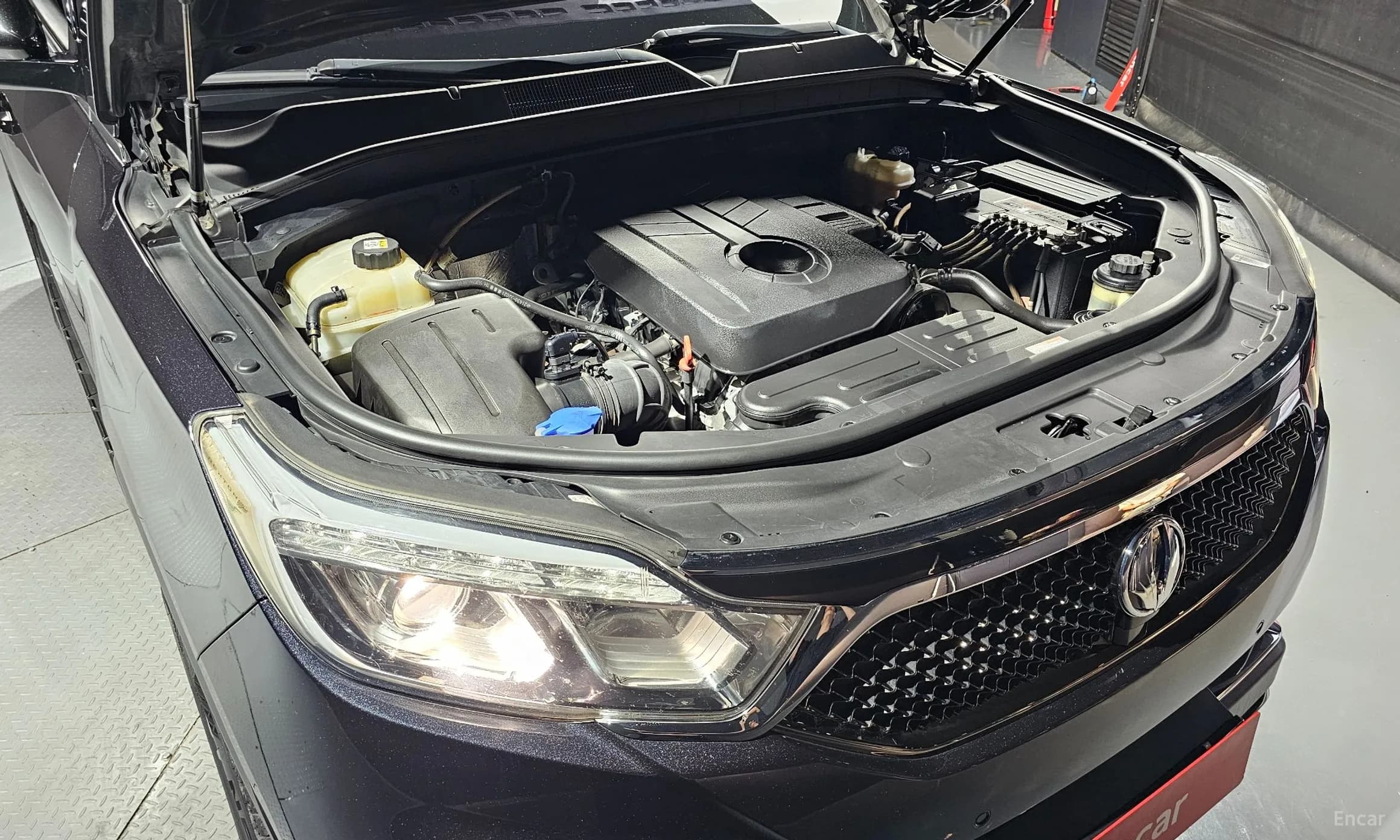 G4 Rexton