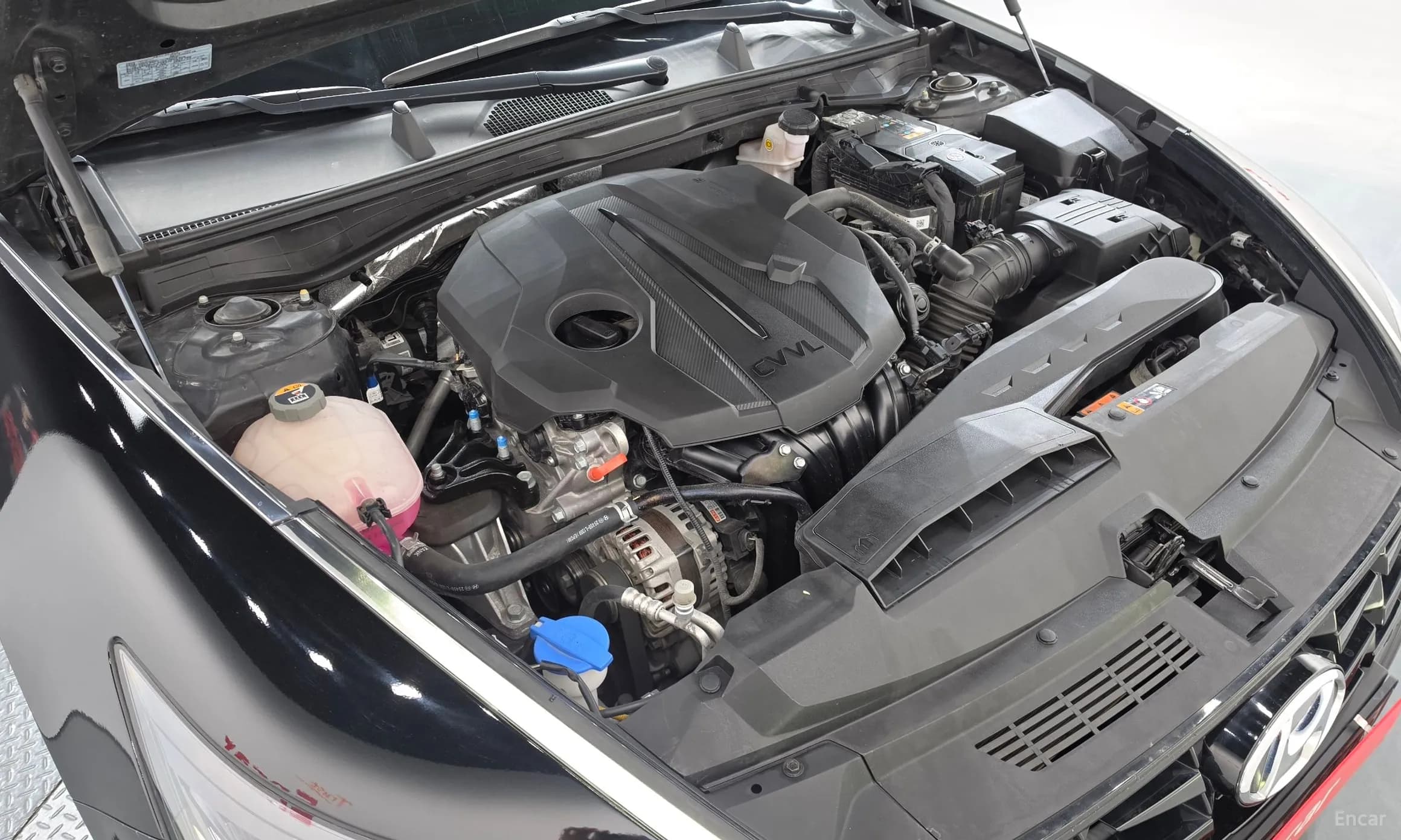 Sonata (DN8)