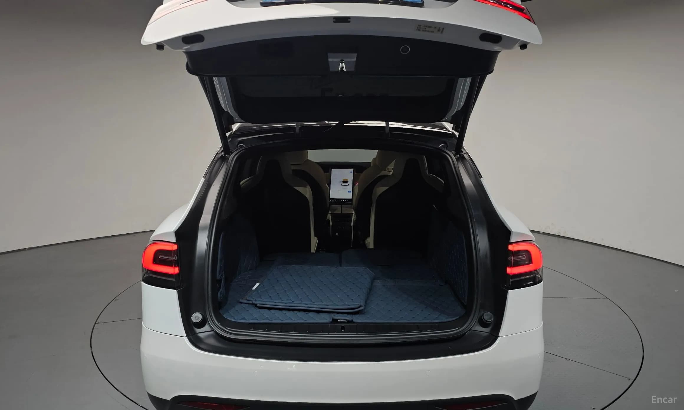 Model X