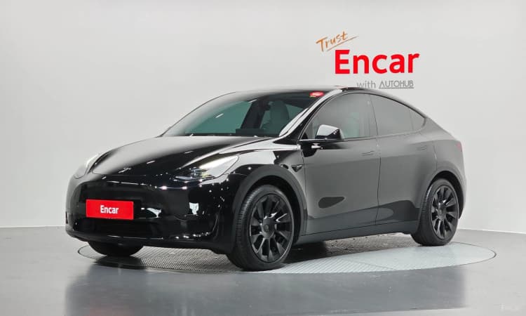 Model Y