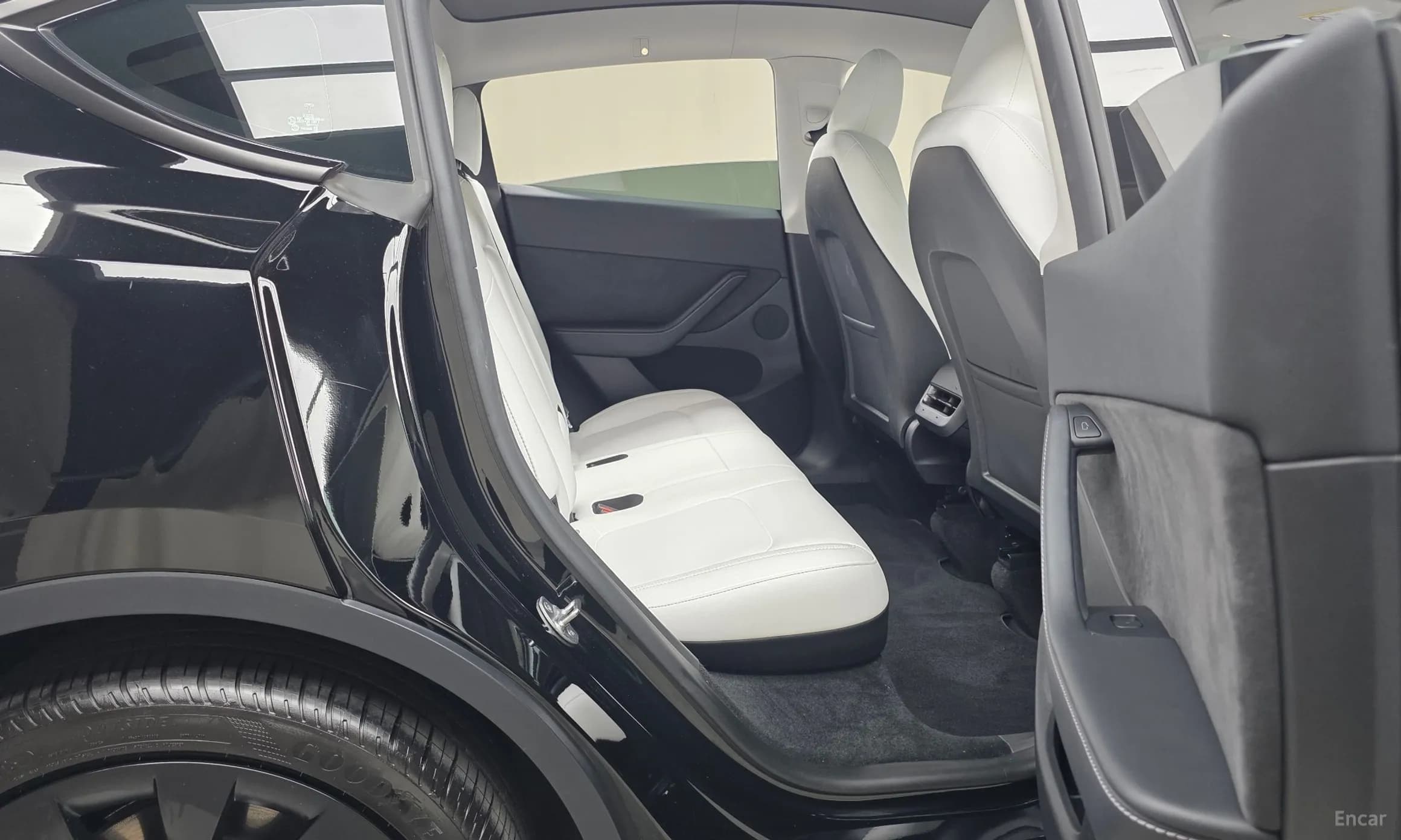 Model Y