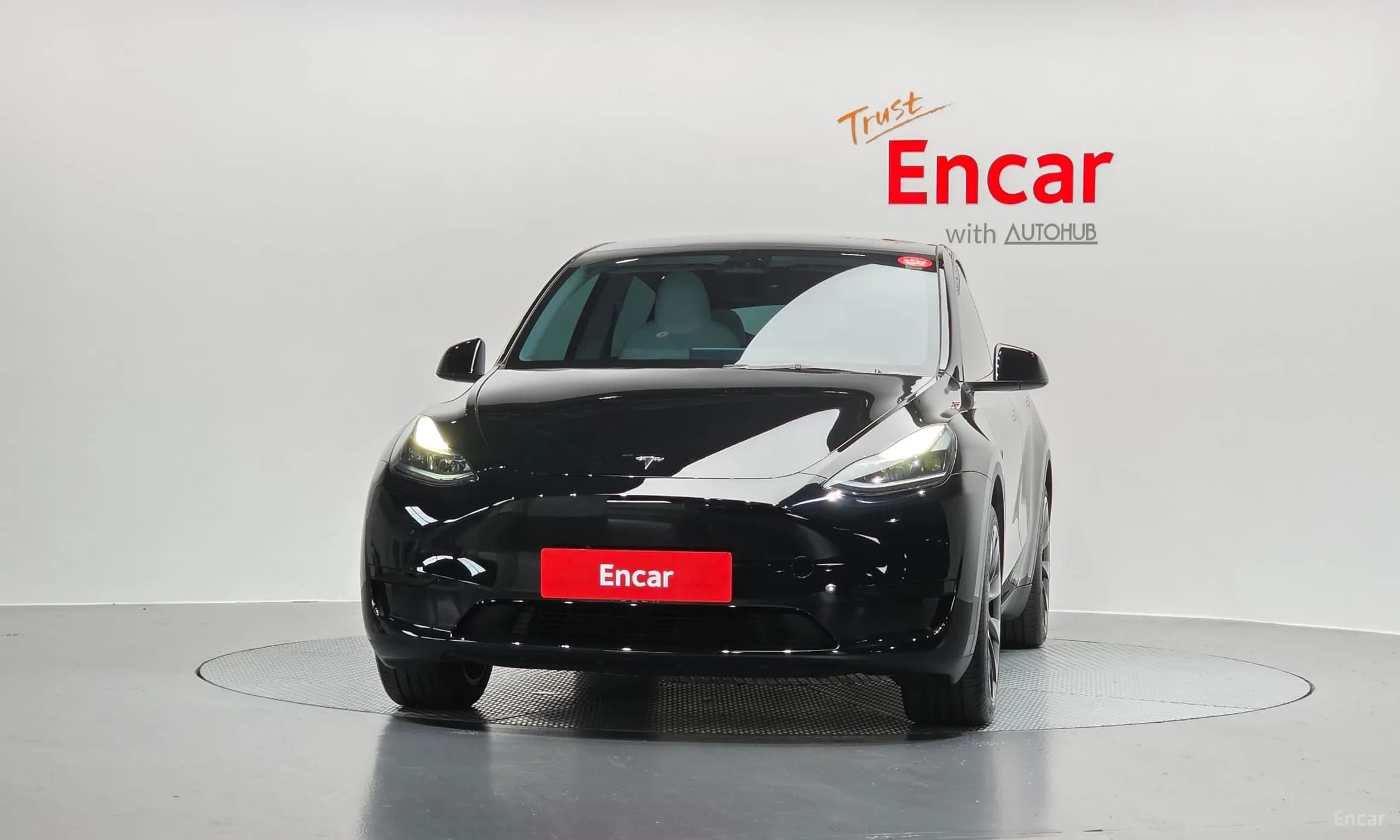 Model Y