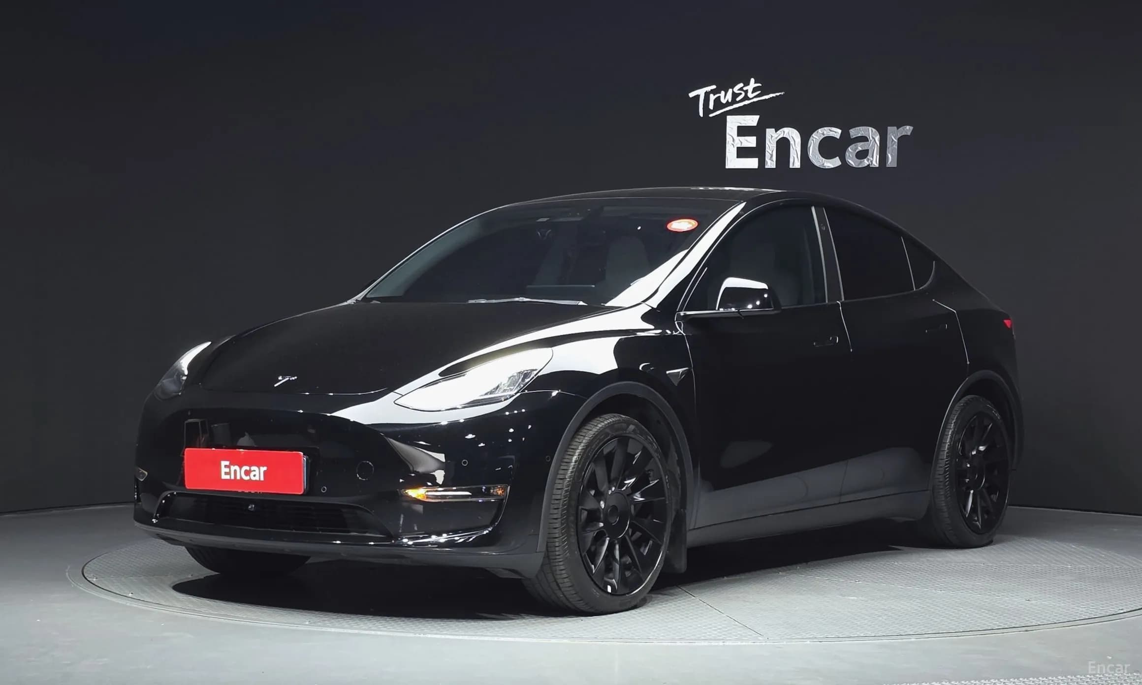 Model Y