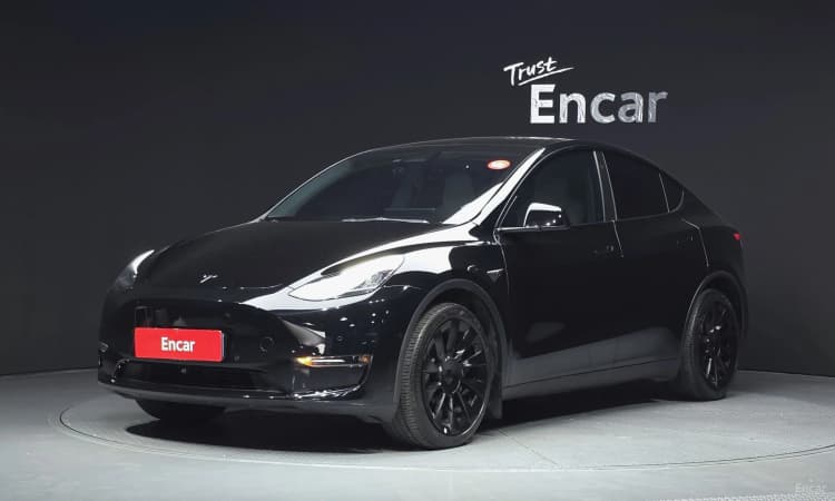 Model Y