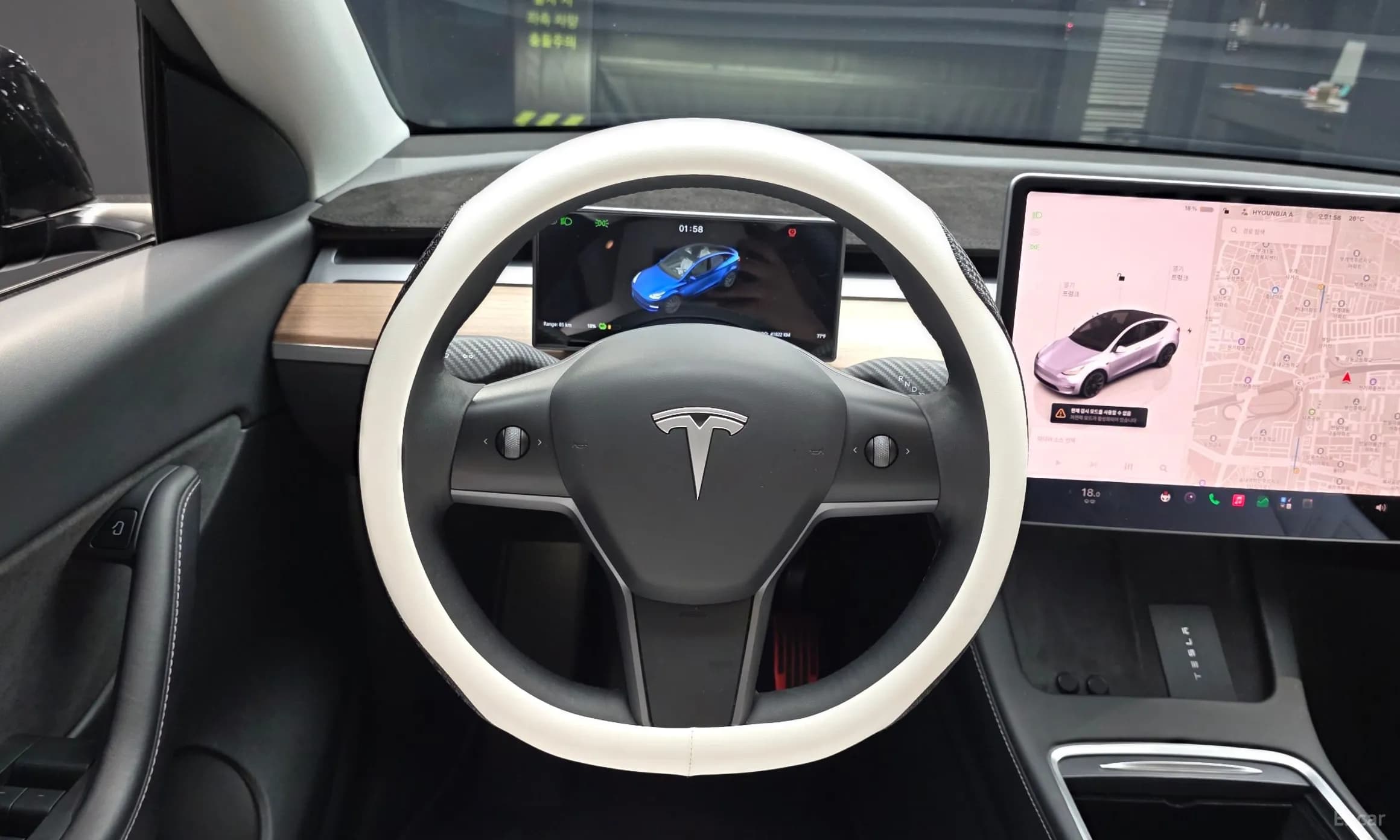 Model Y