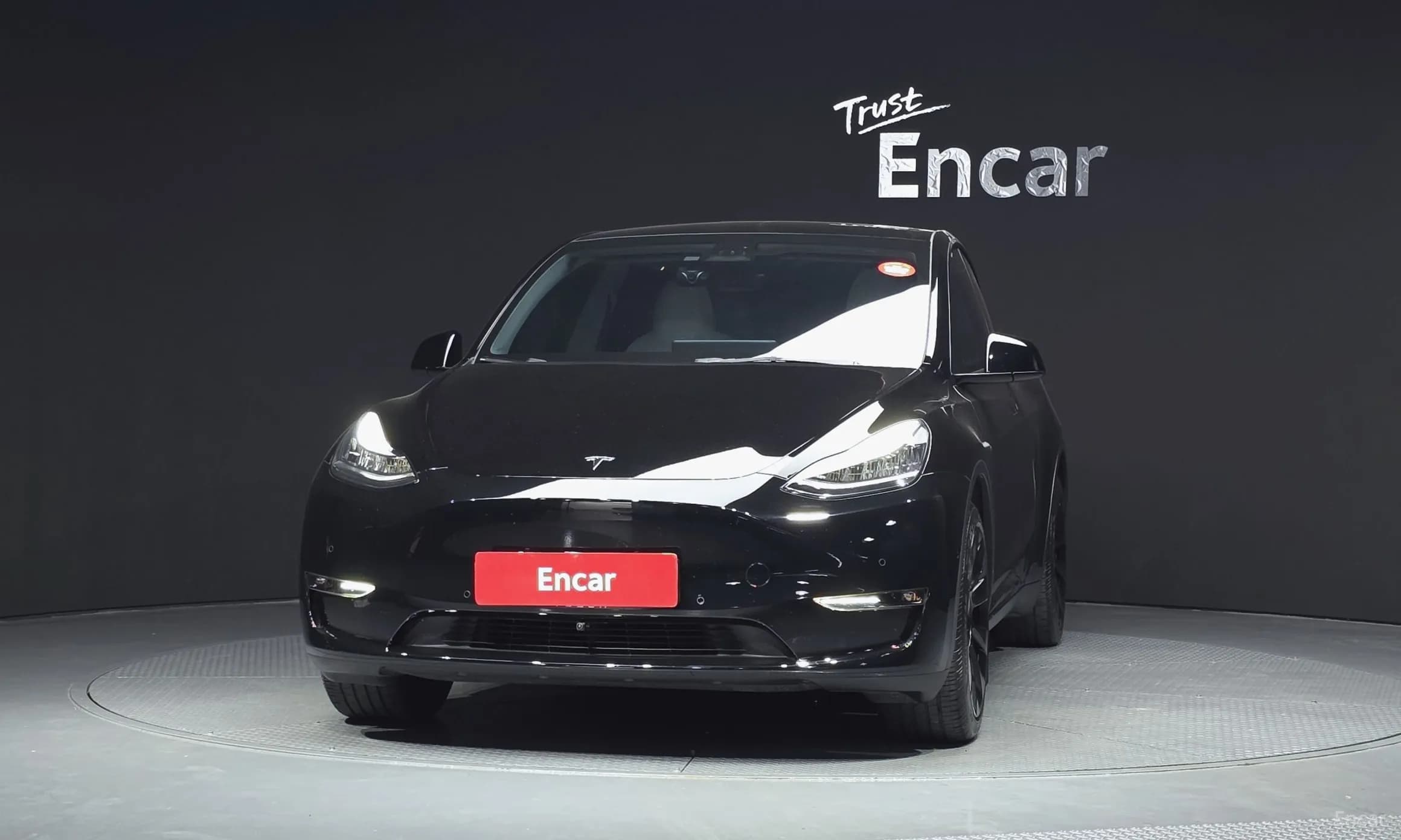 Model Y