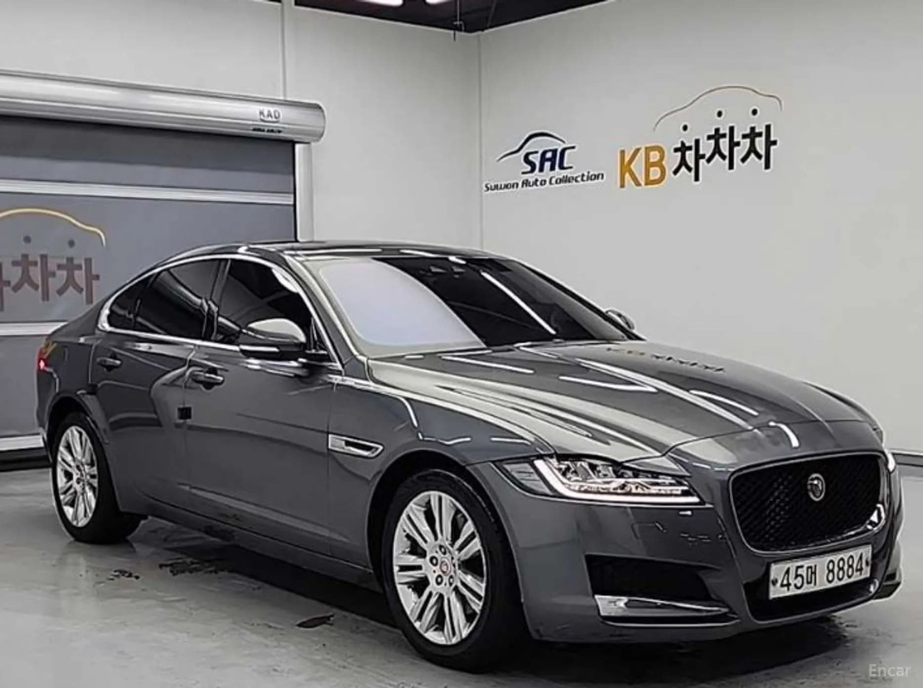 XF (x260)