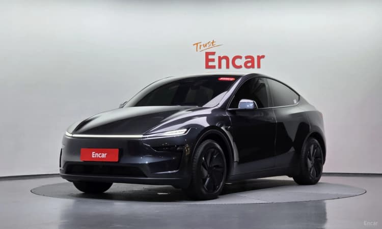 Model Y