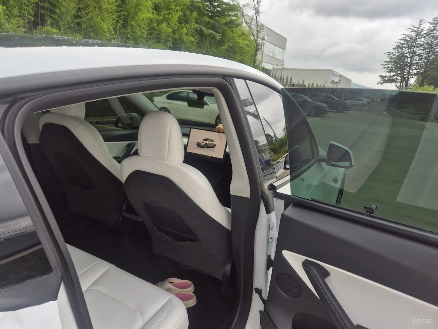 Model Y