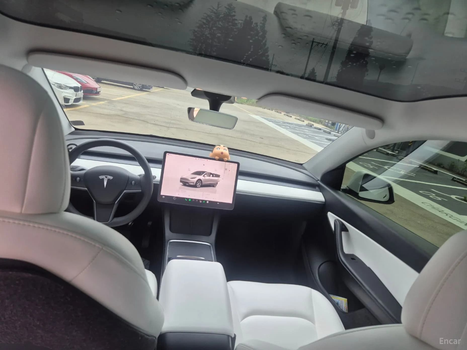 Model Y