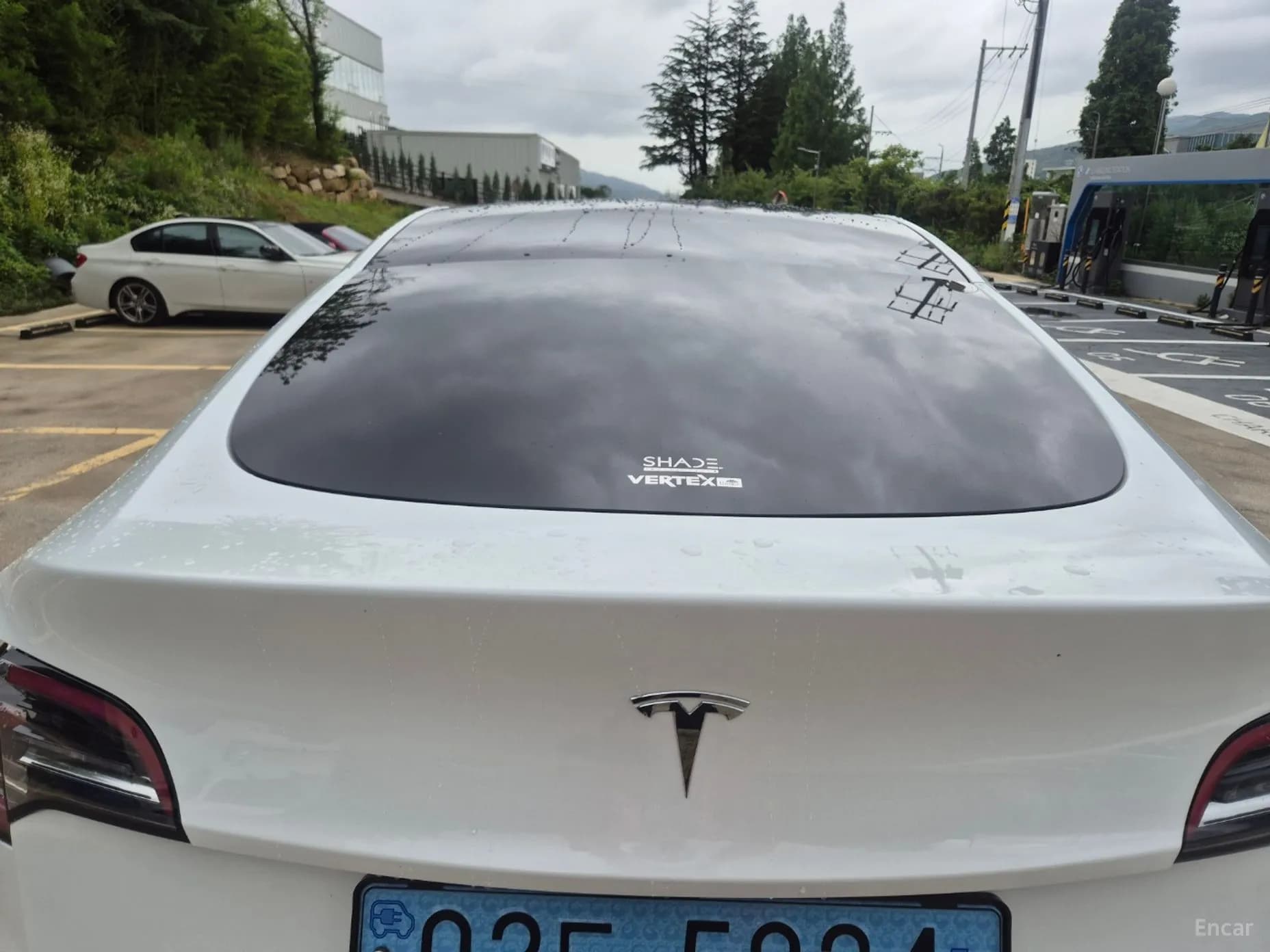 Model Y