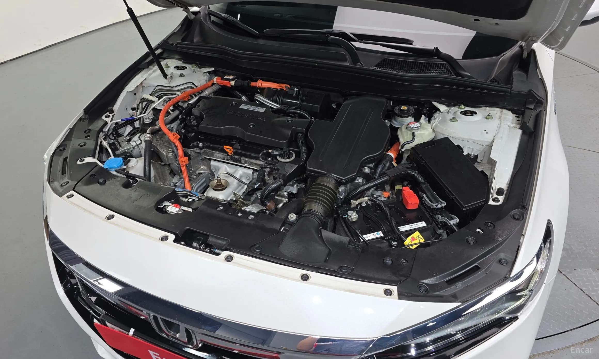 Accord 10th Generation