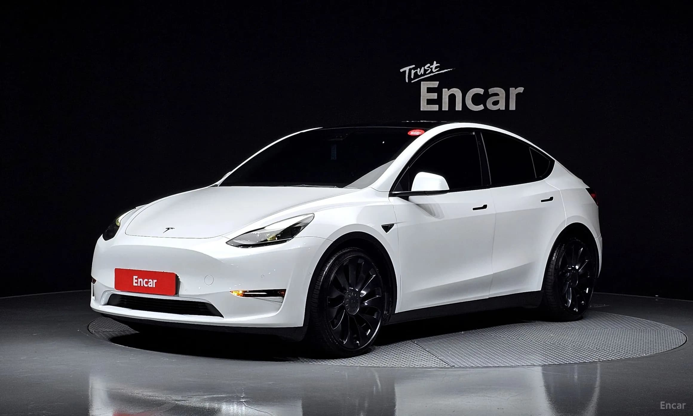 Model Y