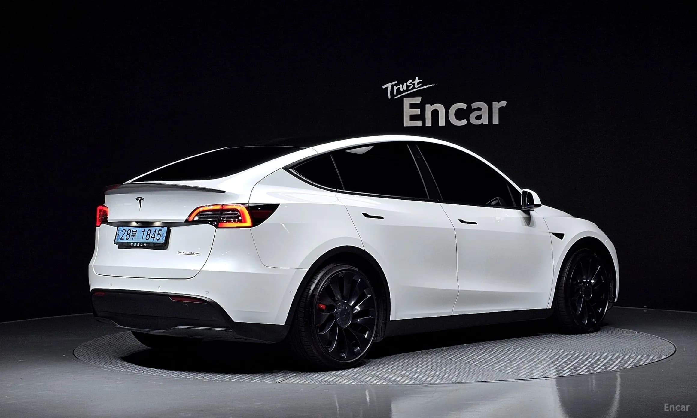 Model Y