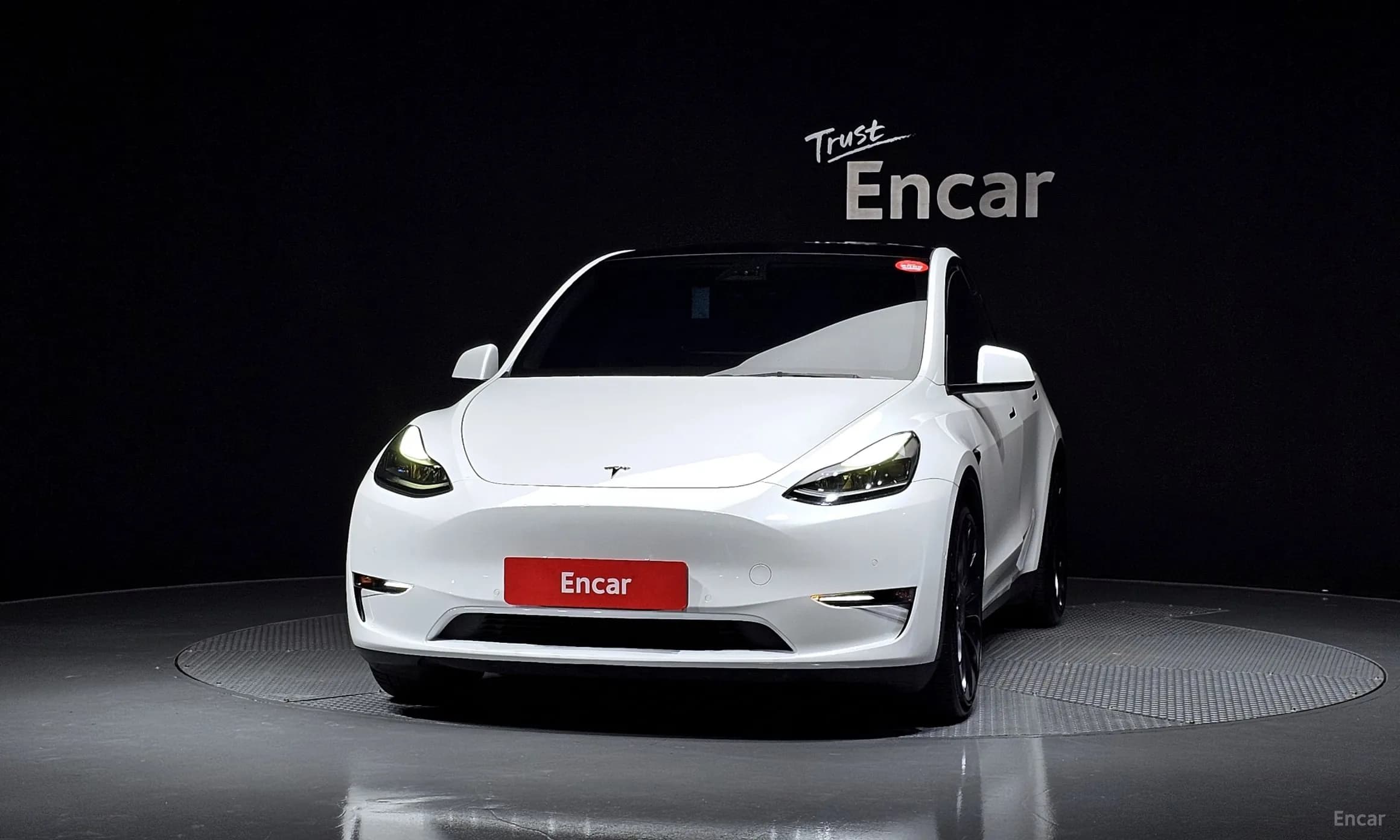 Model Y