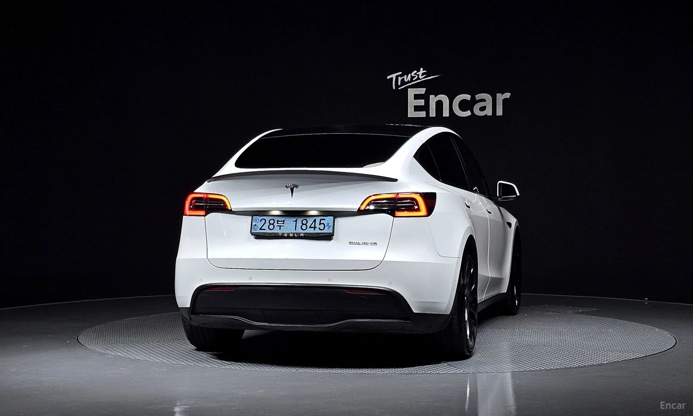 Model Y