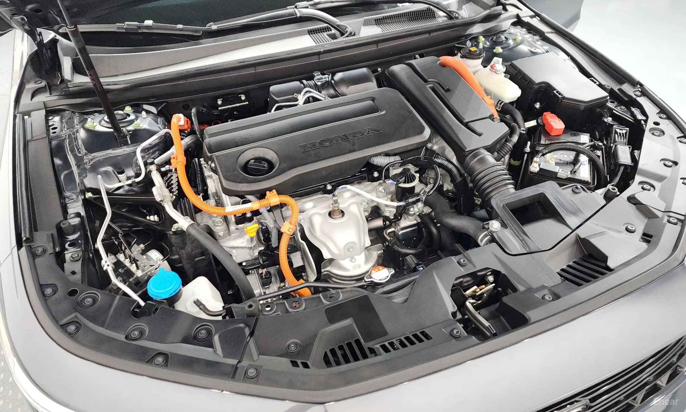 Accord 11th Generation