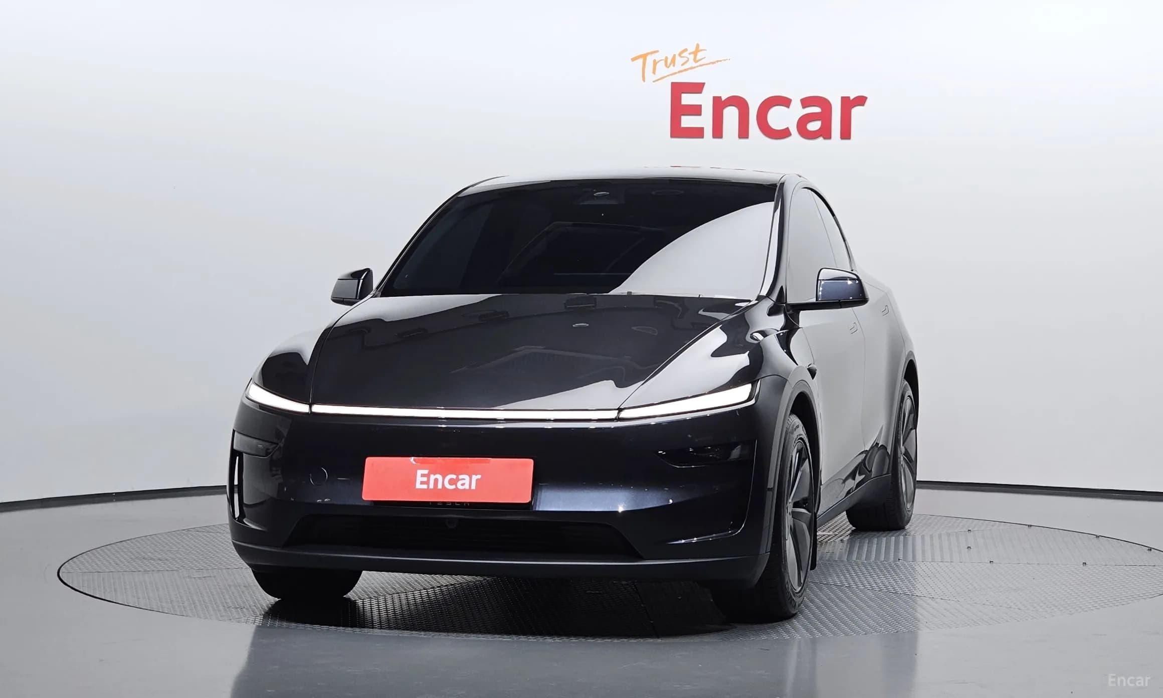 Model Y