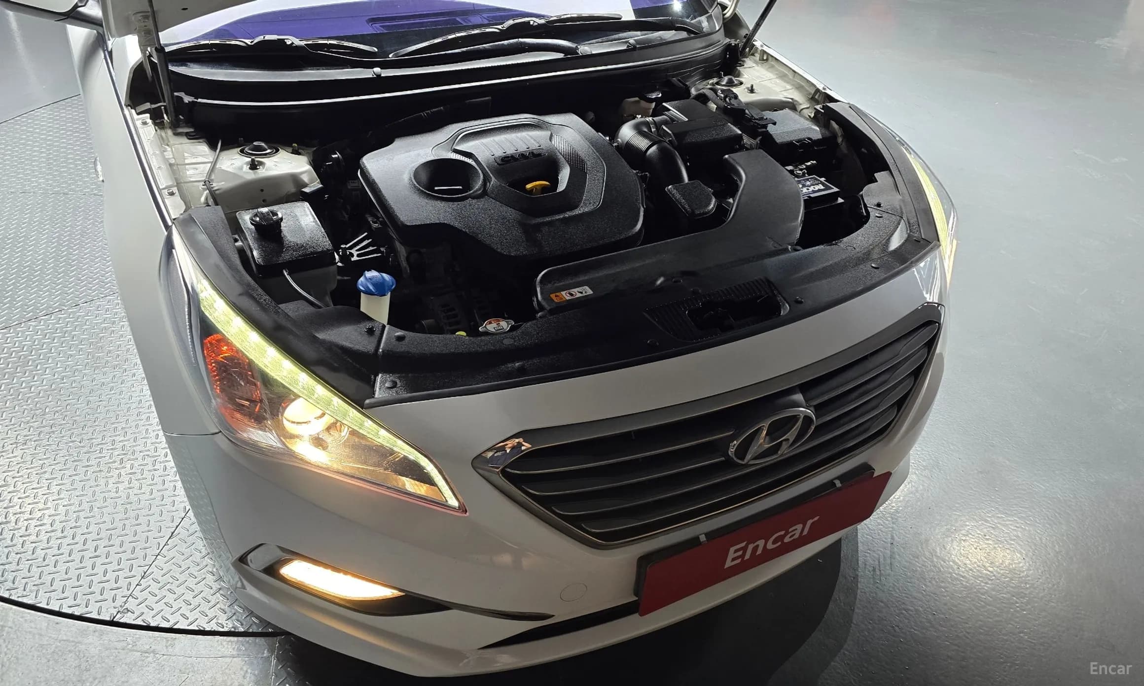 LF Sonata