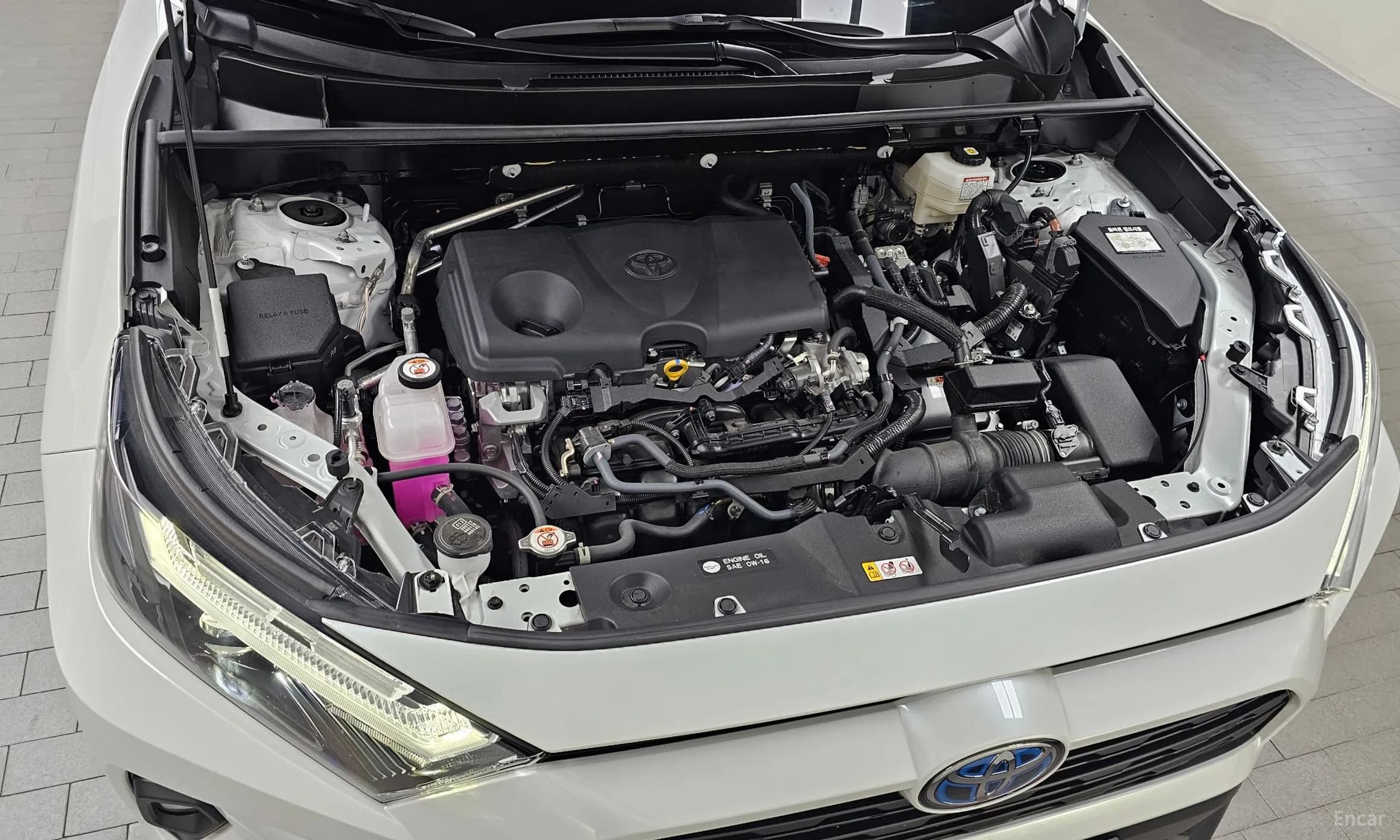 RAV4 5th Generation