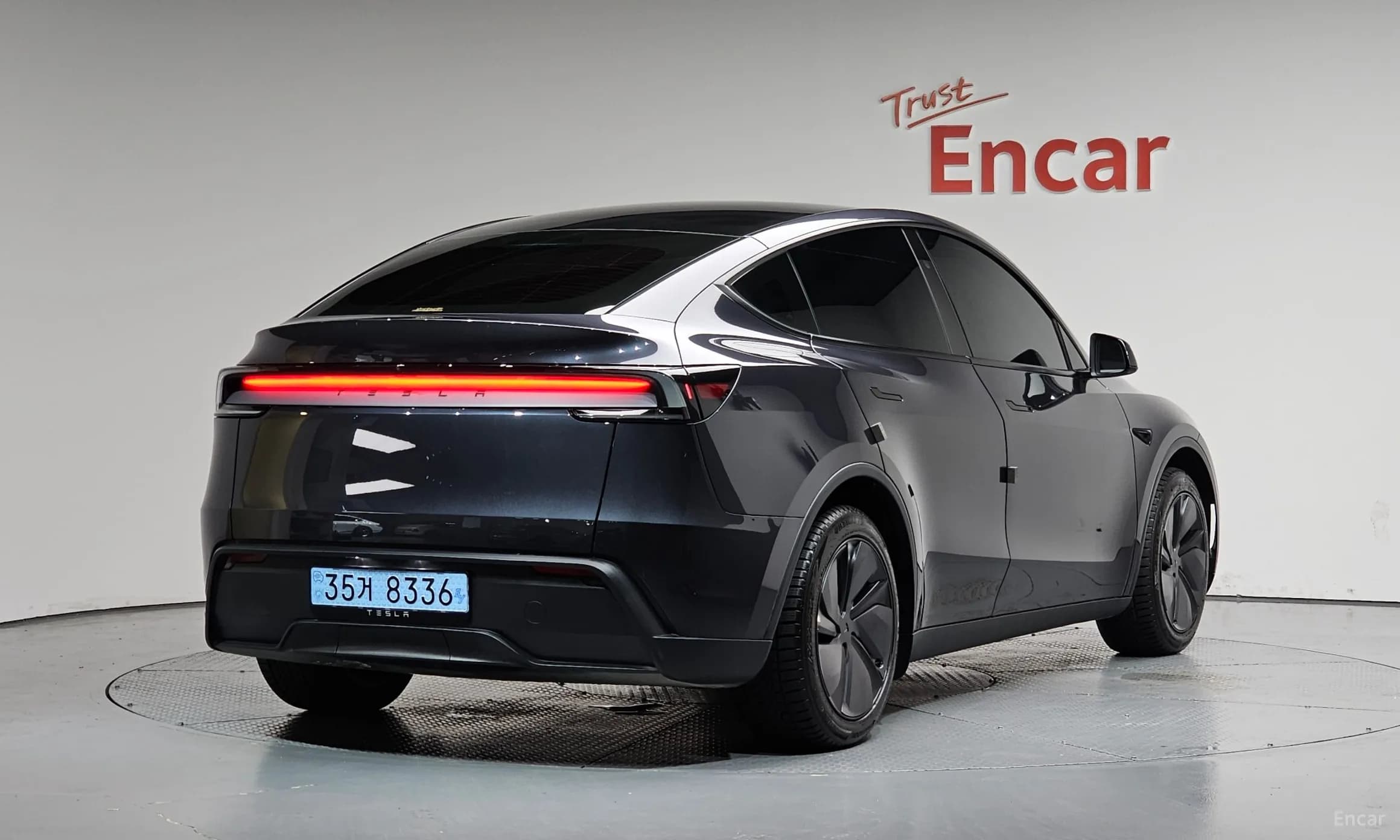 Model Y