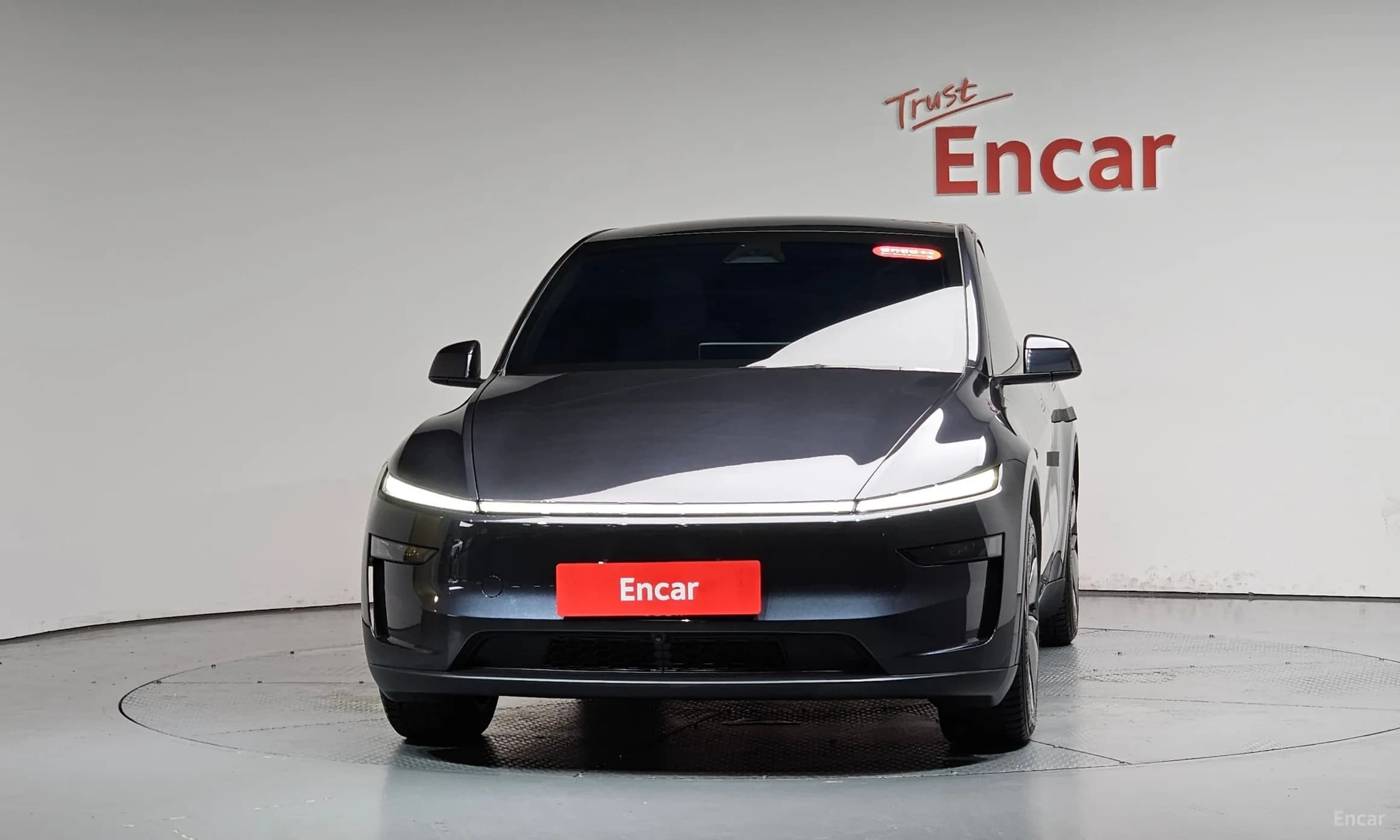 Model Y