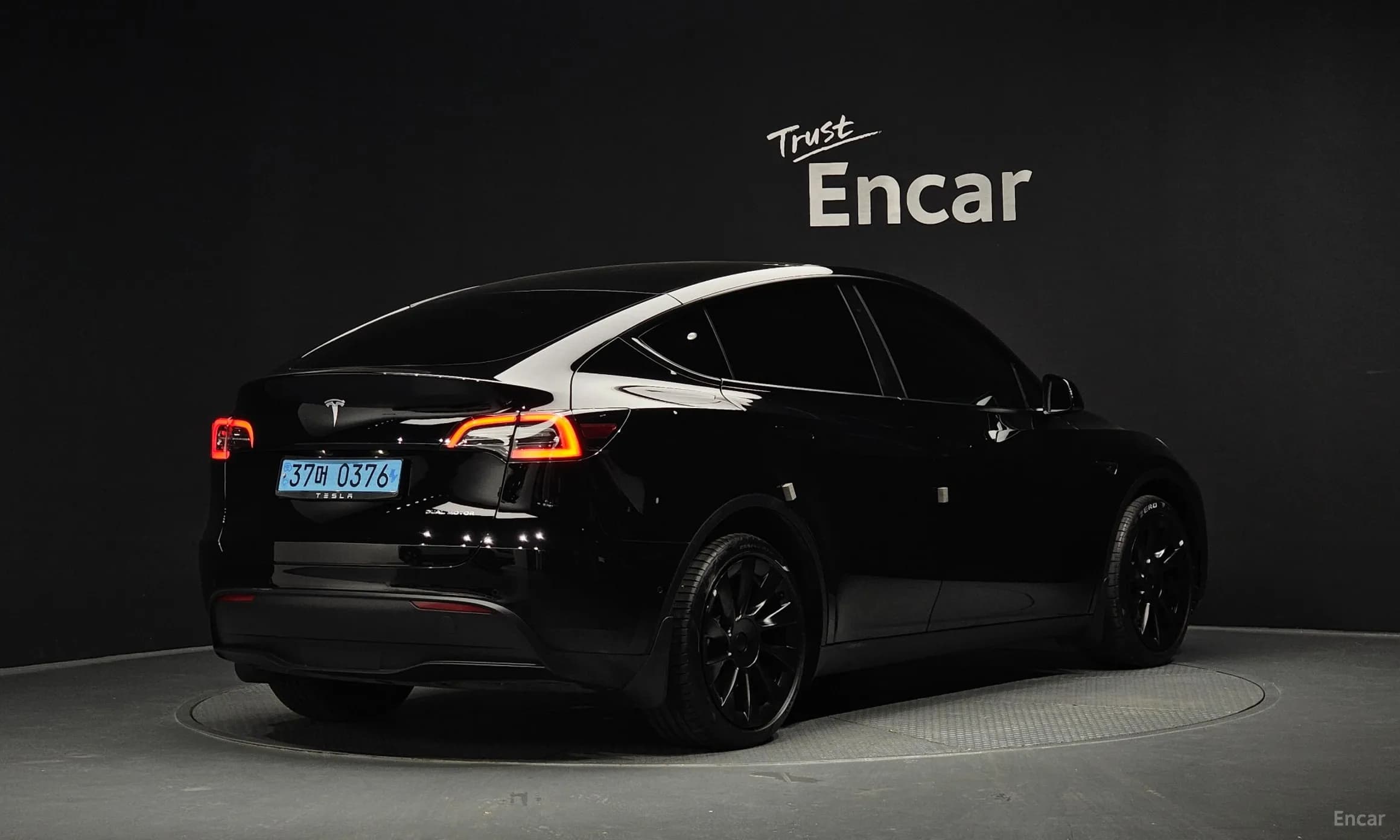 Model Y