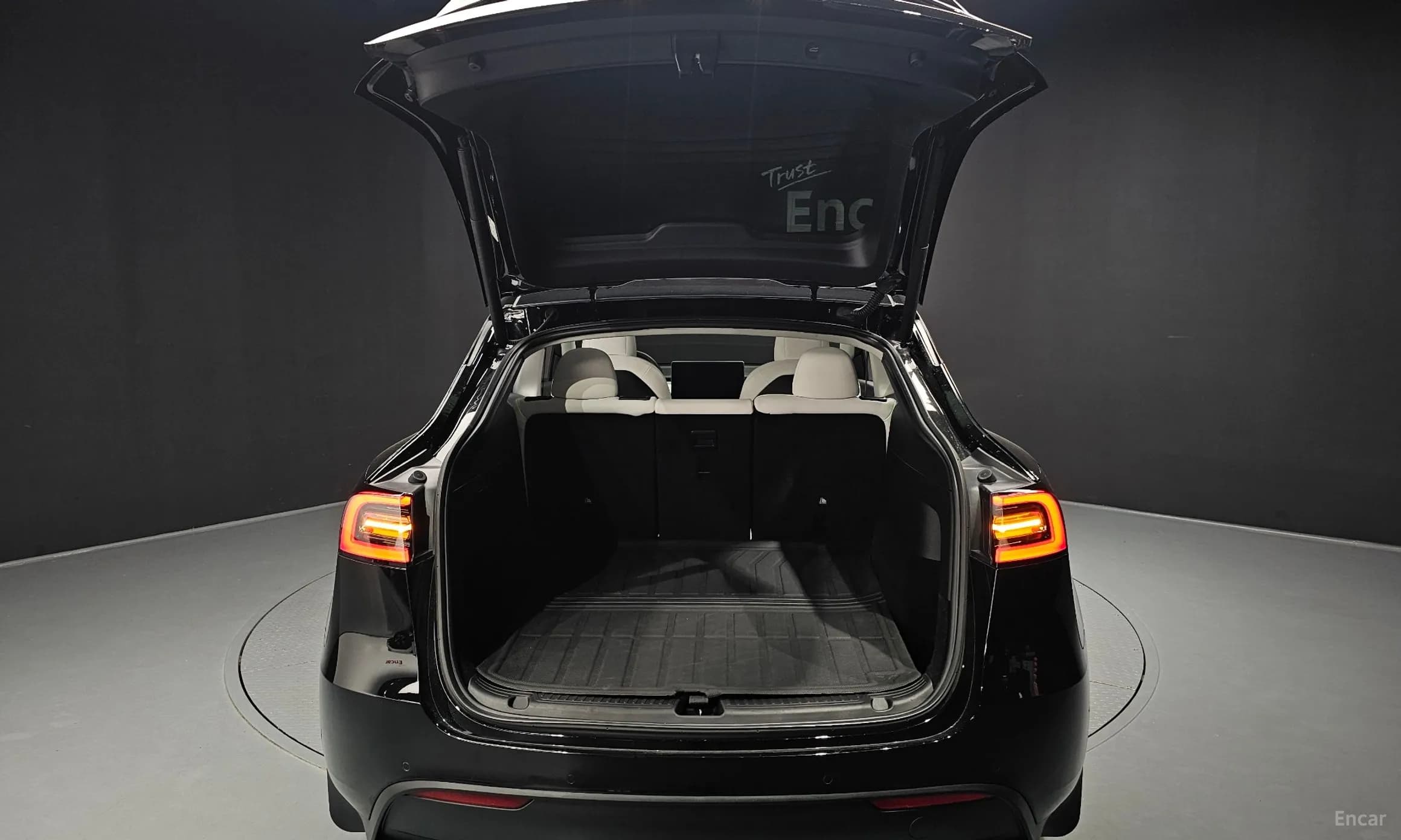 Model Y