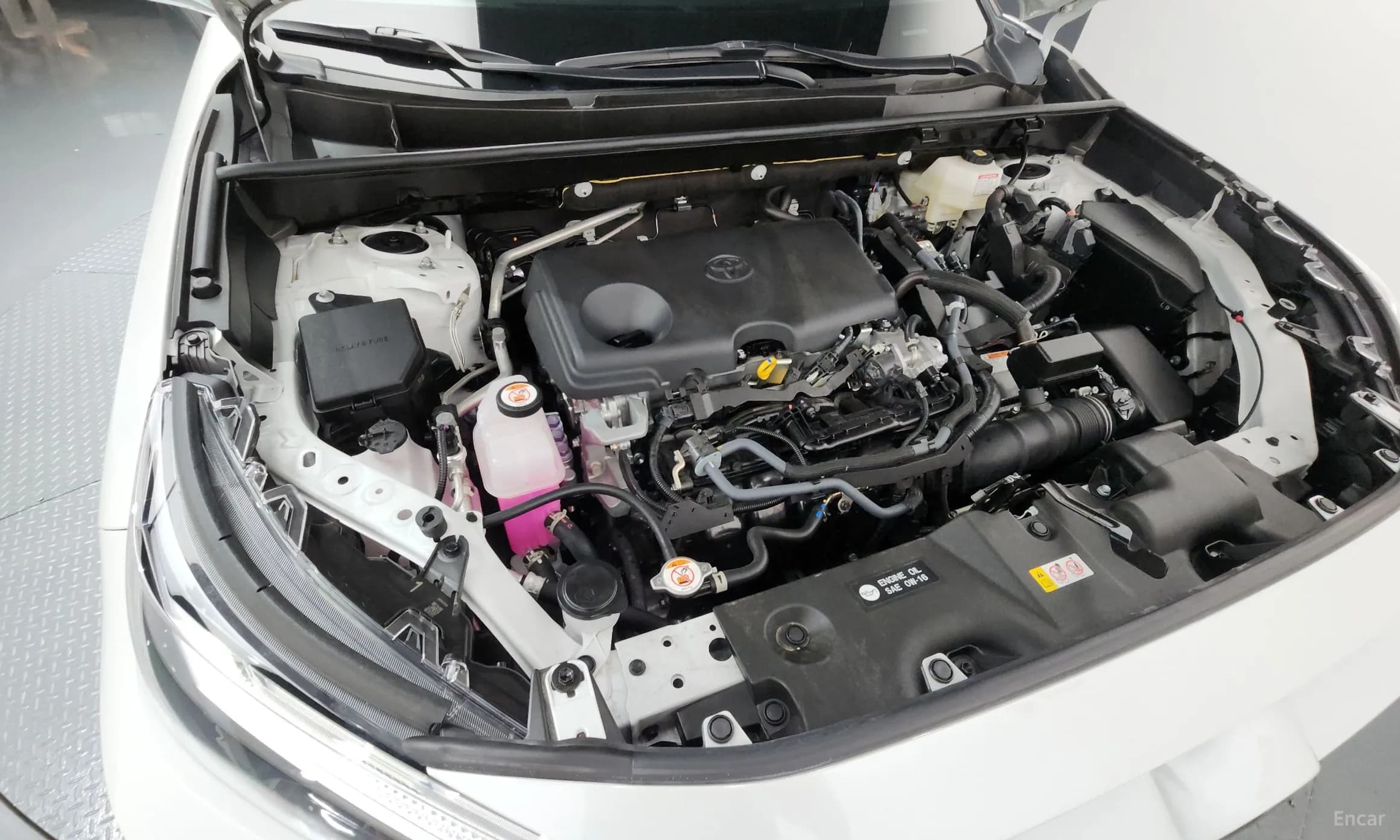 RAV4 5th Generation