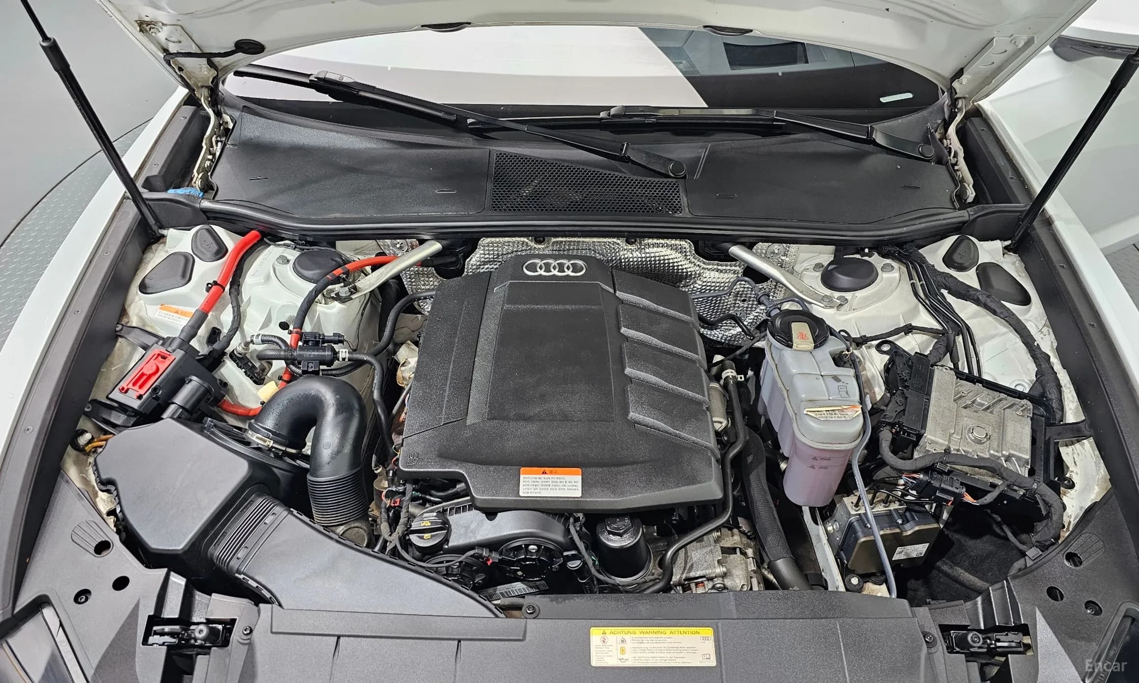 A6 (C8)