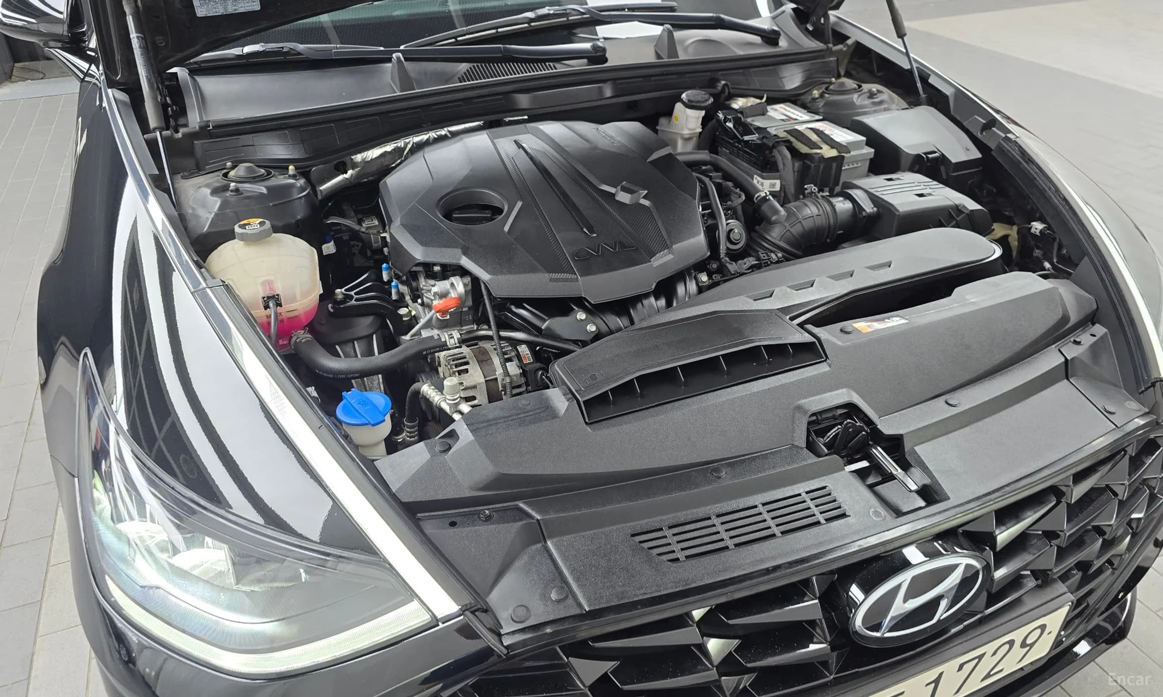 Sonata (DN8)