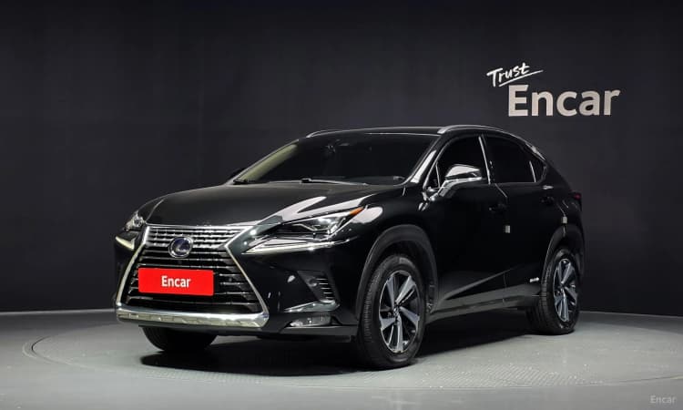 NX300h