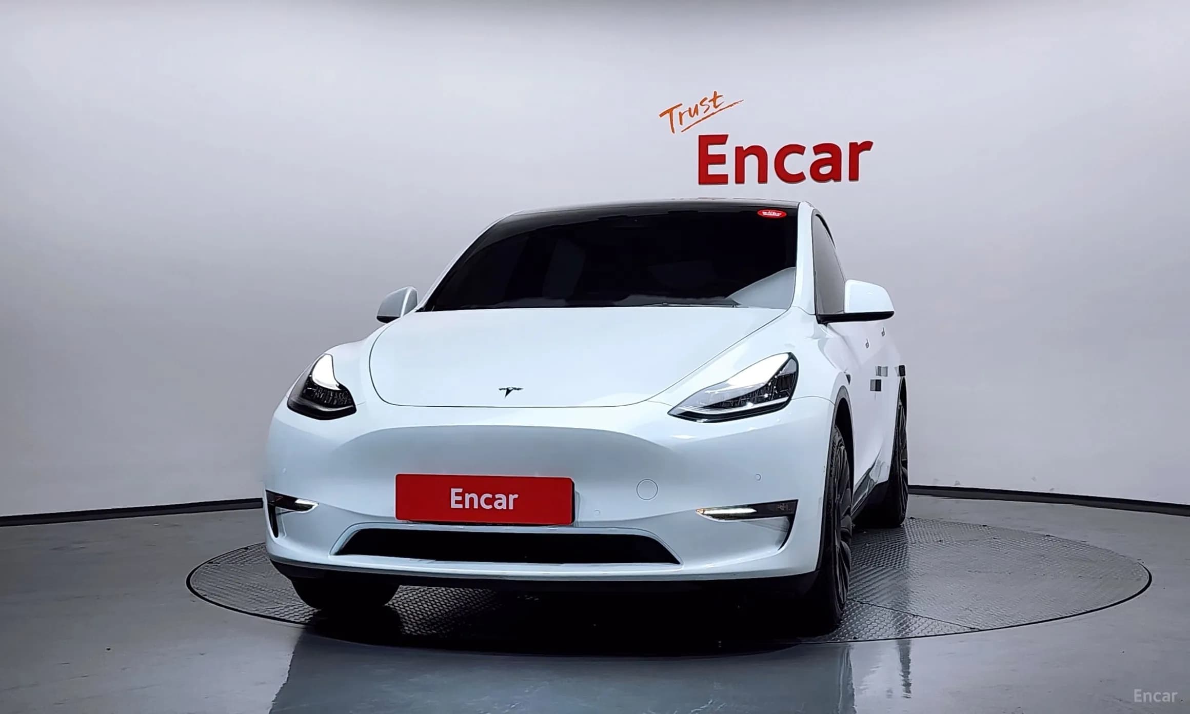 Model Y