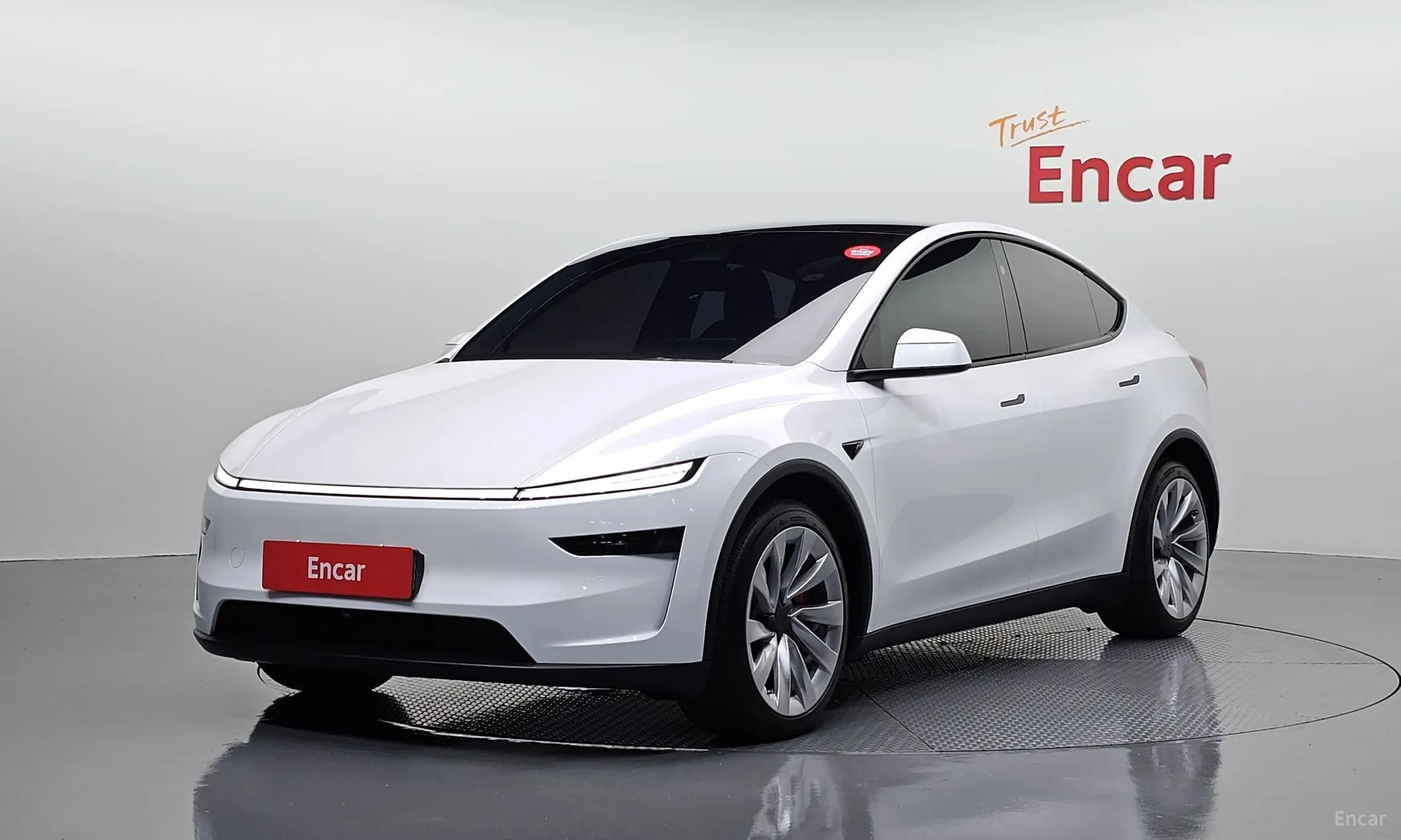 Model Y