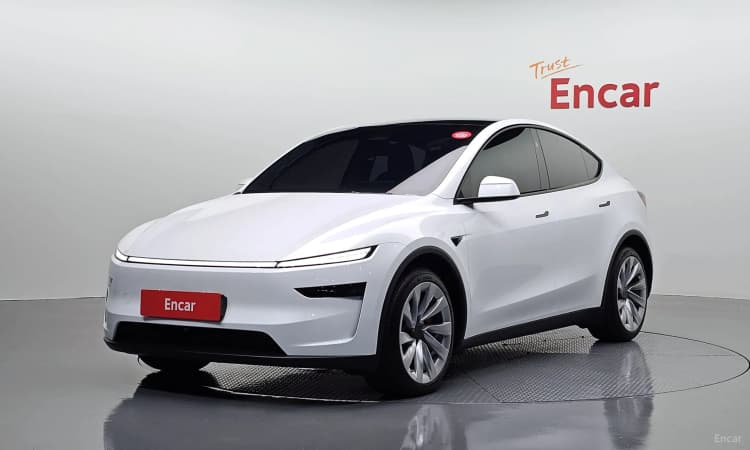 Model Y