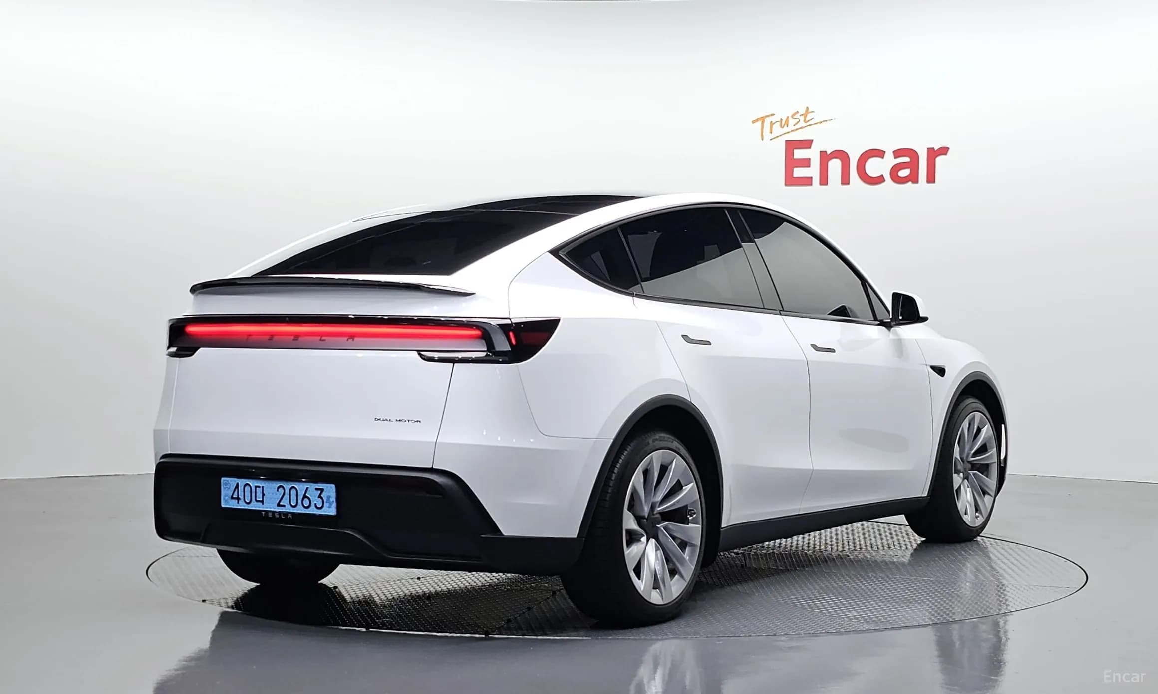 Model Y