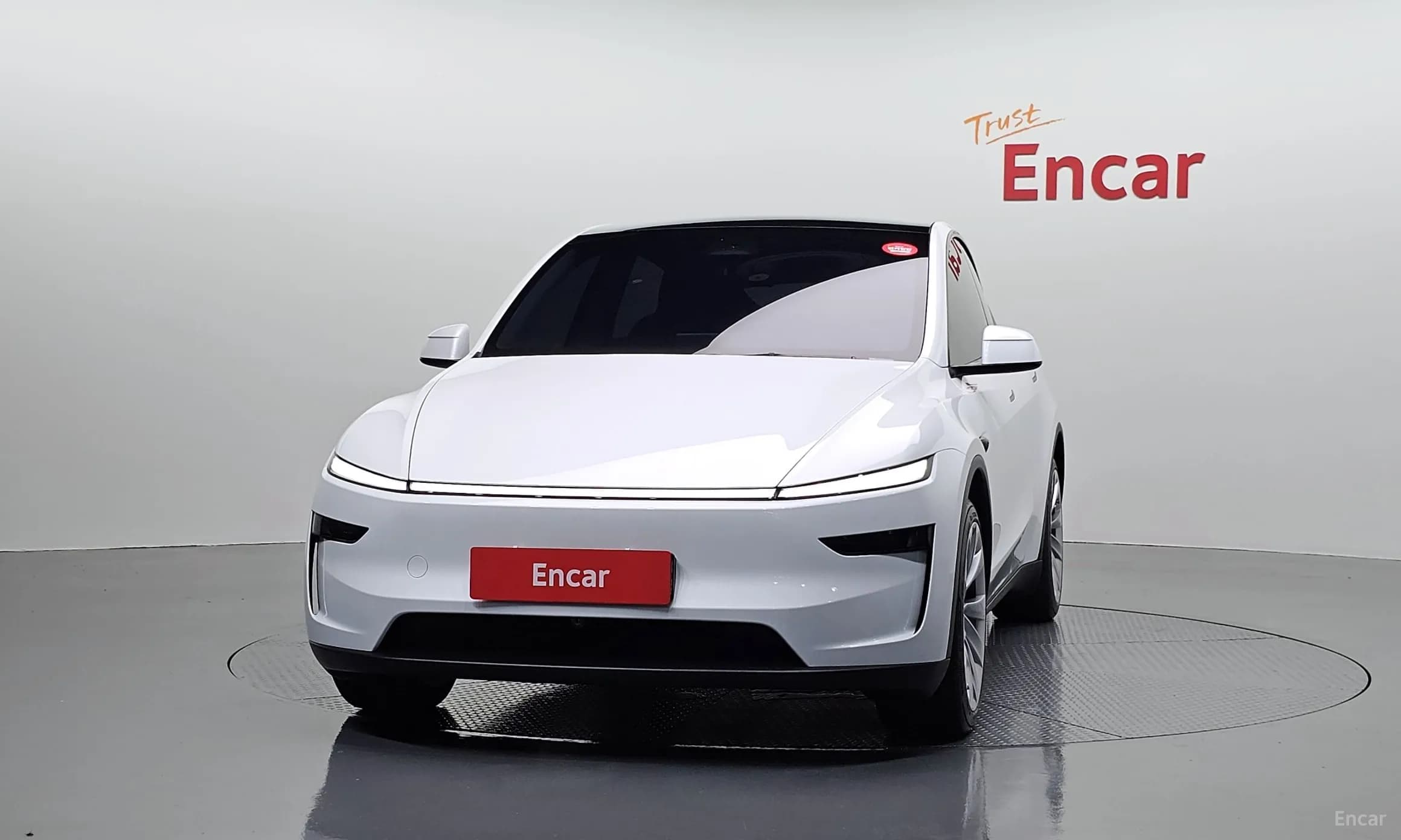 Model Y