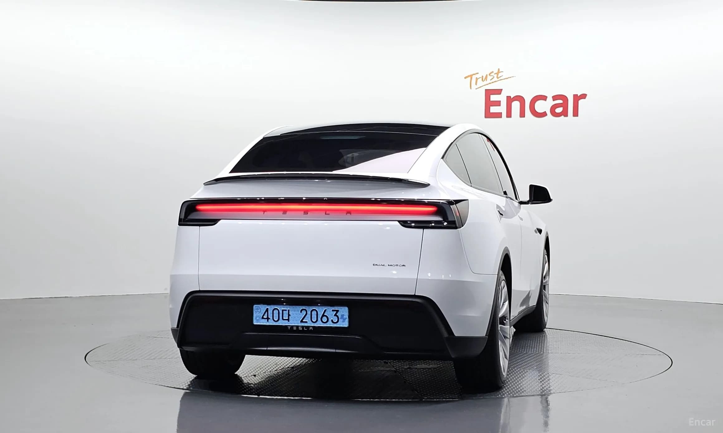 Model Y