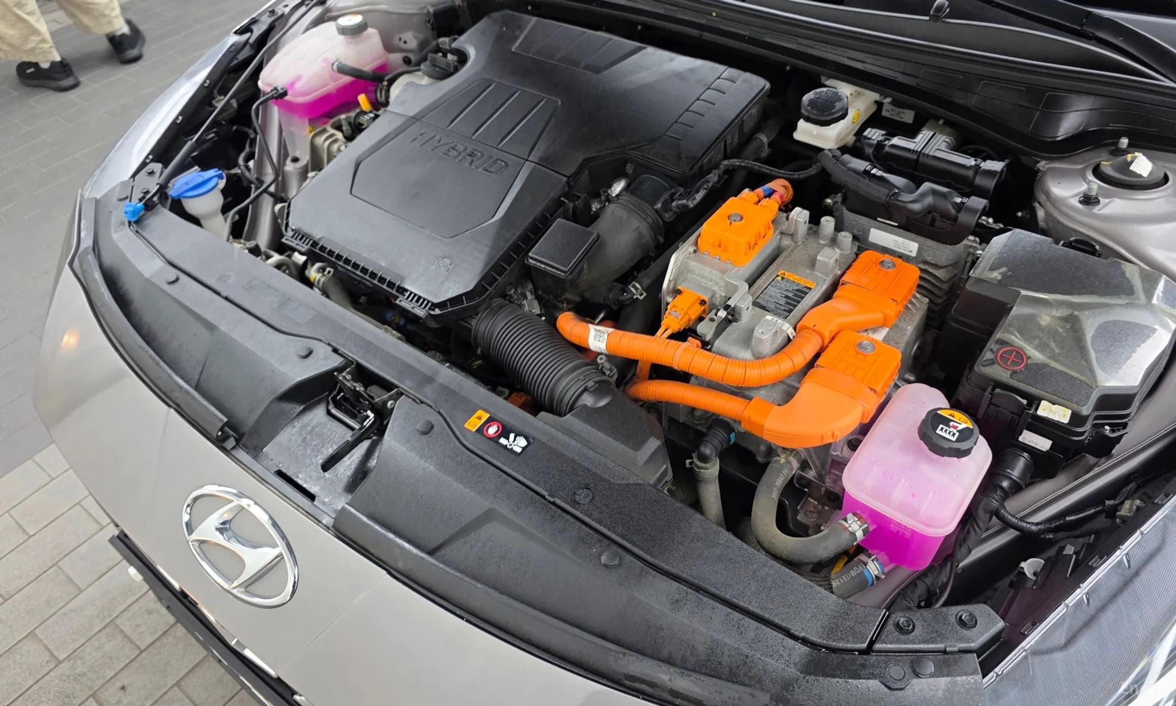 Avante Hybrid (CN7)